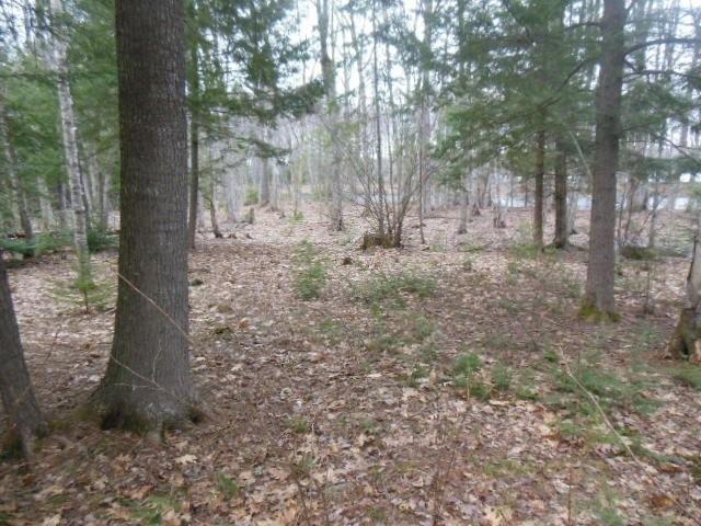 Map1-lot14 Edinburg Road Howland, ME 04448 - Photo 6 of 7 DSCN2973