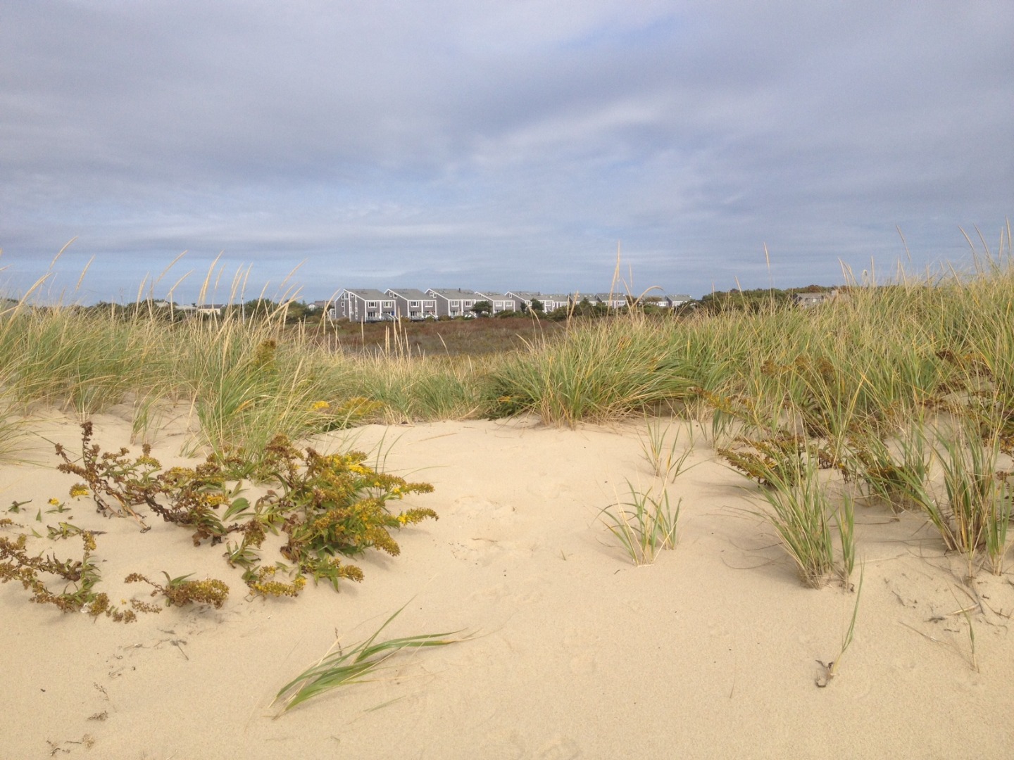 497 Katama Road, Unit G8 Edgartown, MA 02539 - Photo 3 of 3 Gallery Image 3