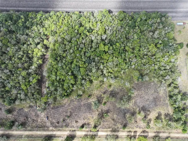 a view of a garden with a tree