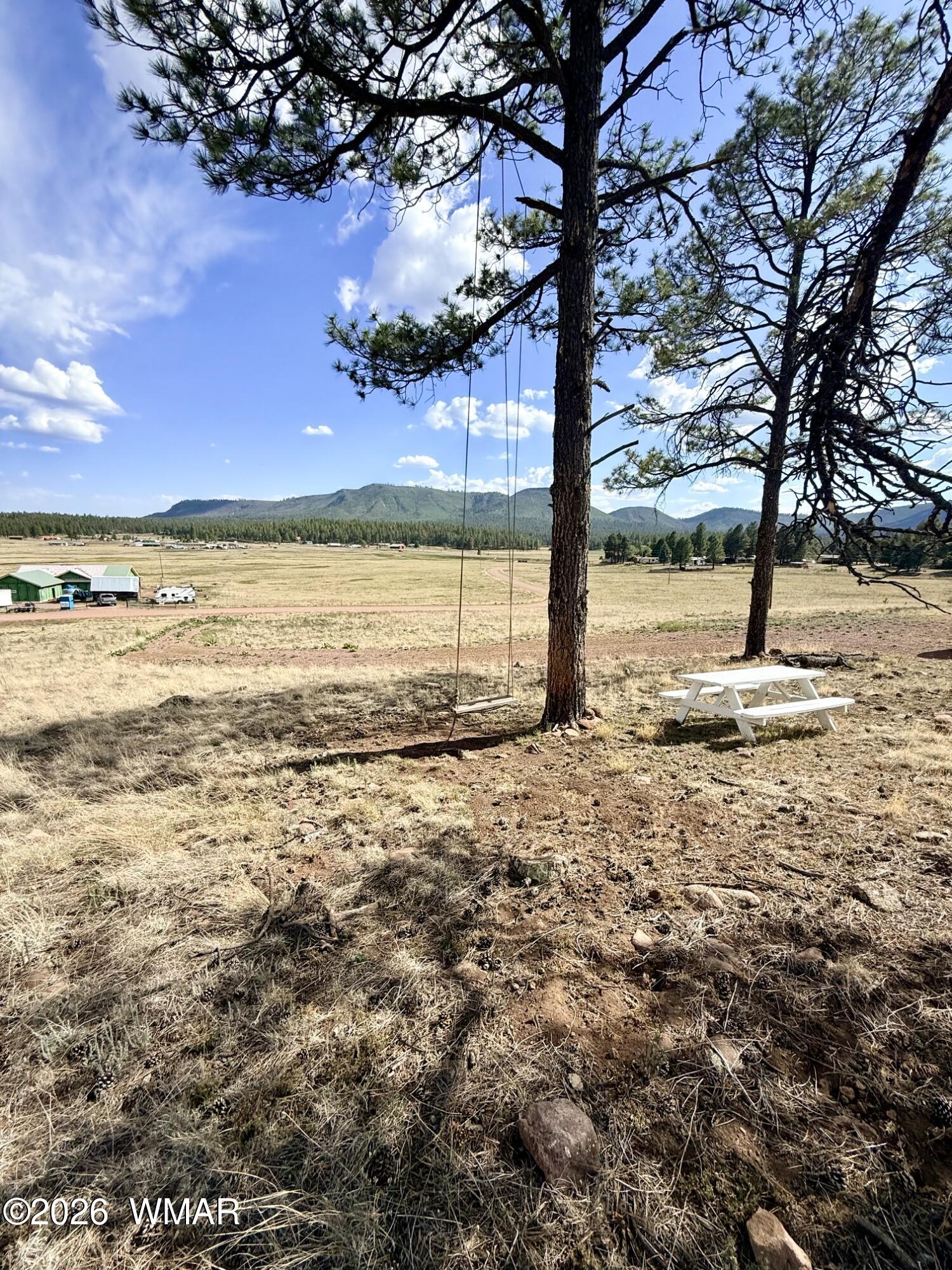 32 The Ranch Alpine, AZ 85920 - Photo 6 of 11