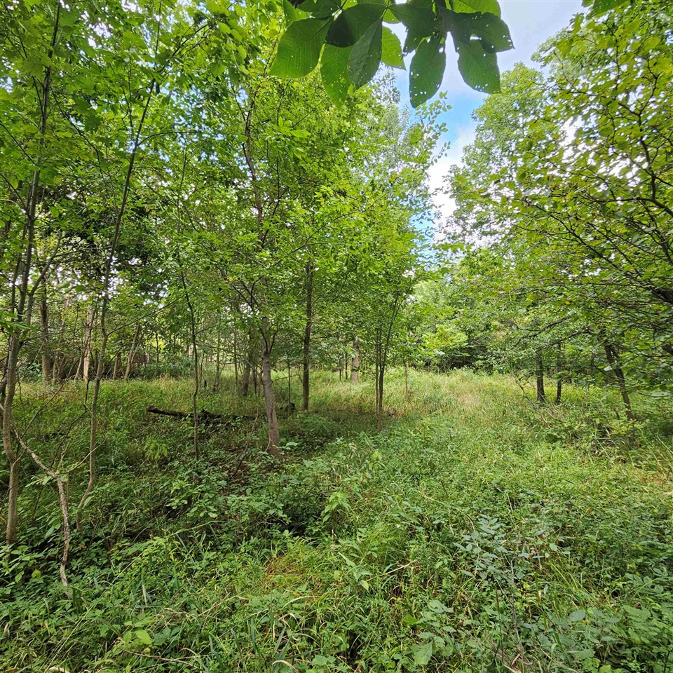 0 Millington Road Silverwood, MI 48760 - Photo 7 of 17