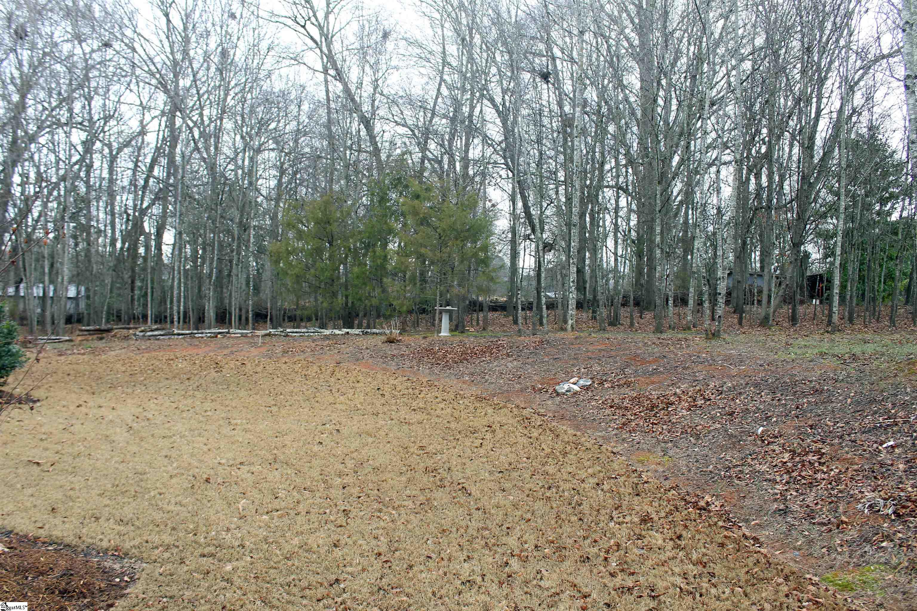 203 Palmetto Road Pelzer, SC 29669 - Photo 9 of 34