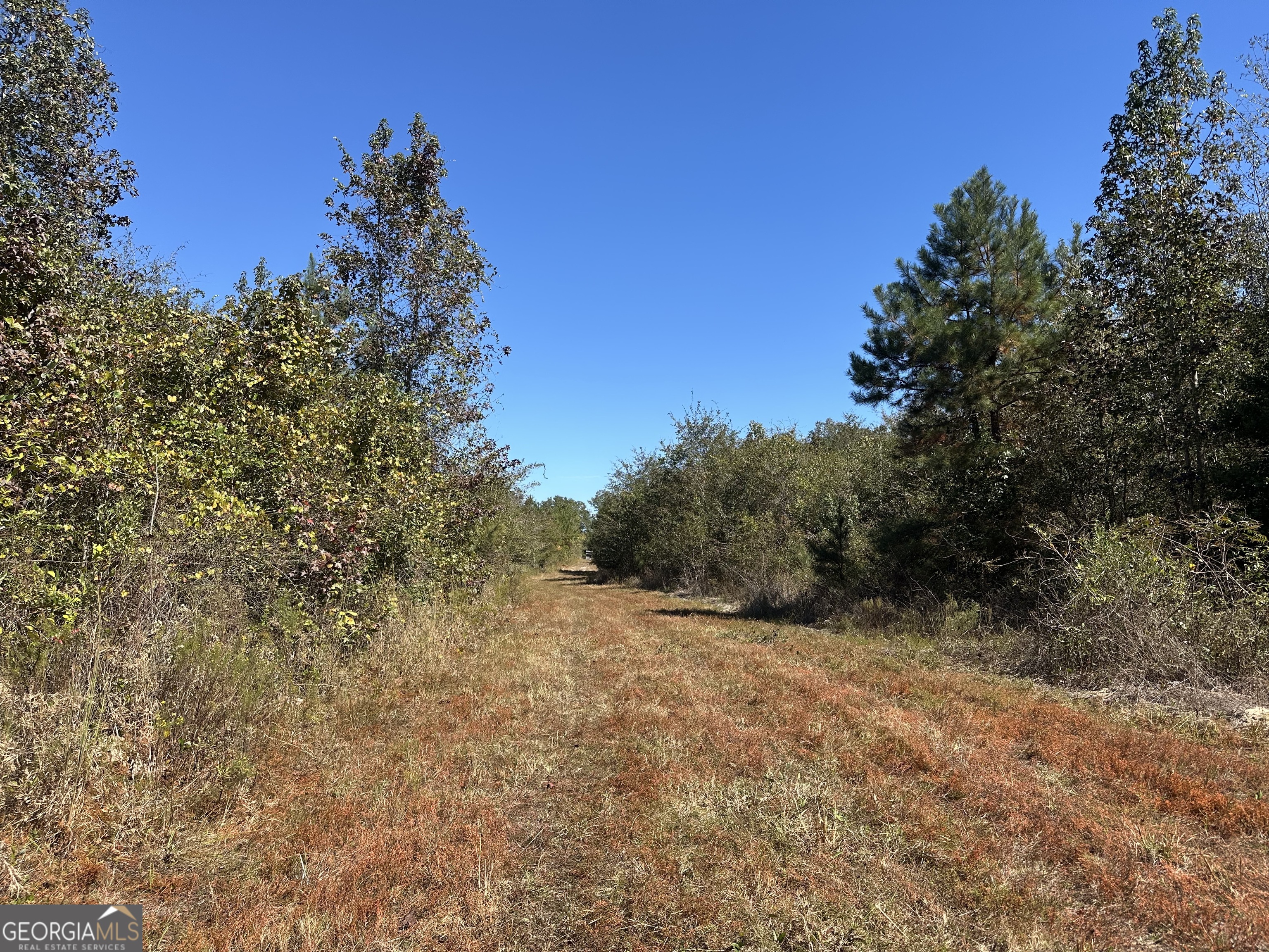 68 Sand Rdg Road Rhine, GA 31077 - Photo 39 of 53