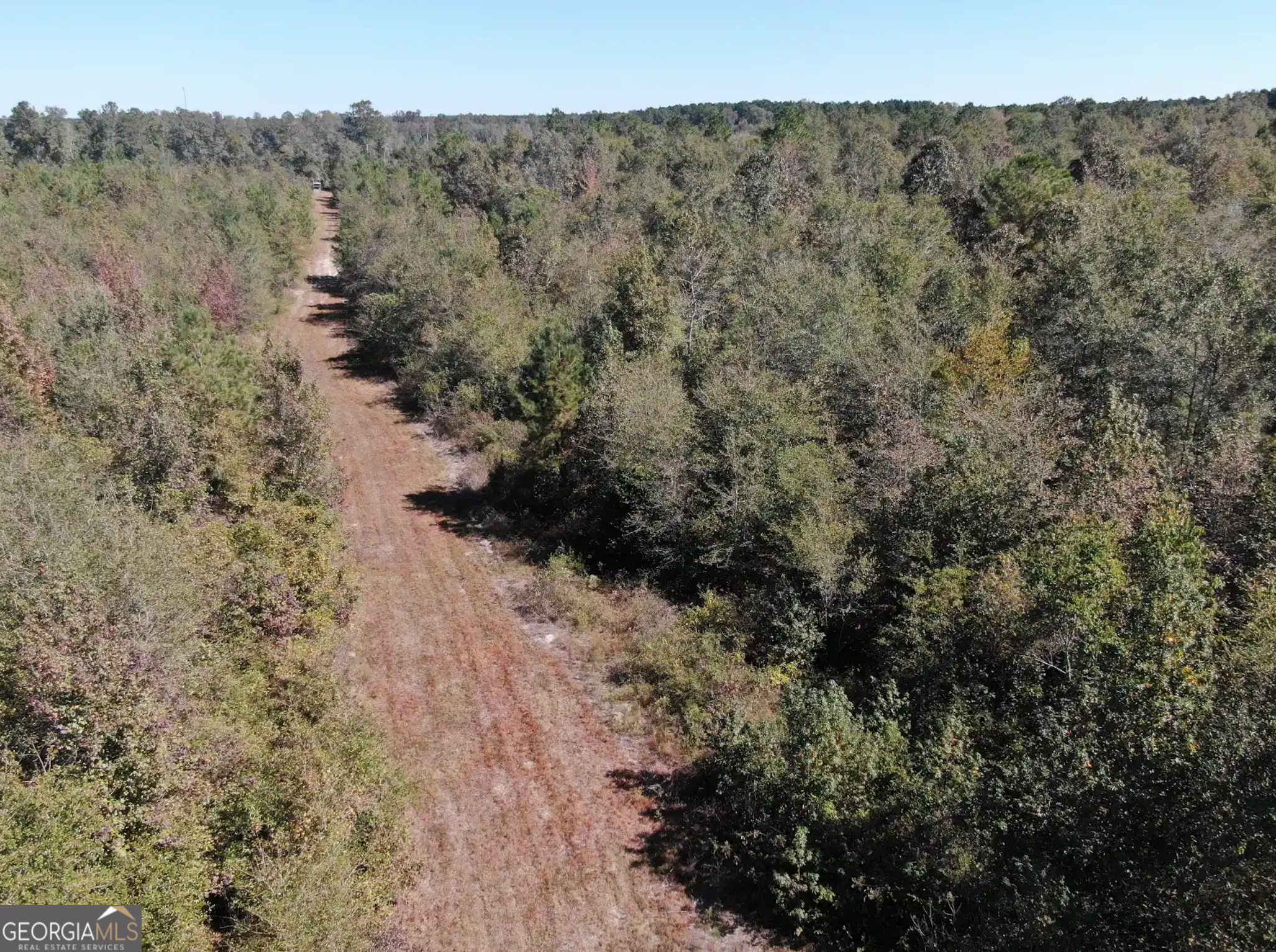 68 Sand Rdg Road Rhine, GA 31077 - Photo 49 of 53