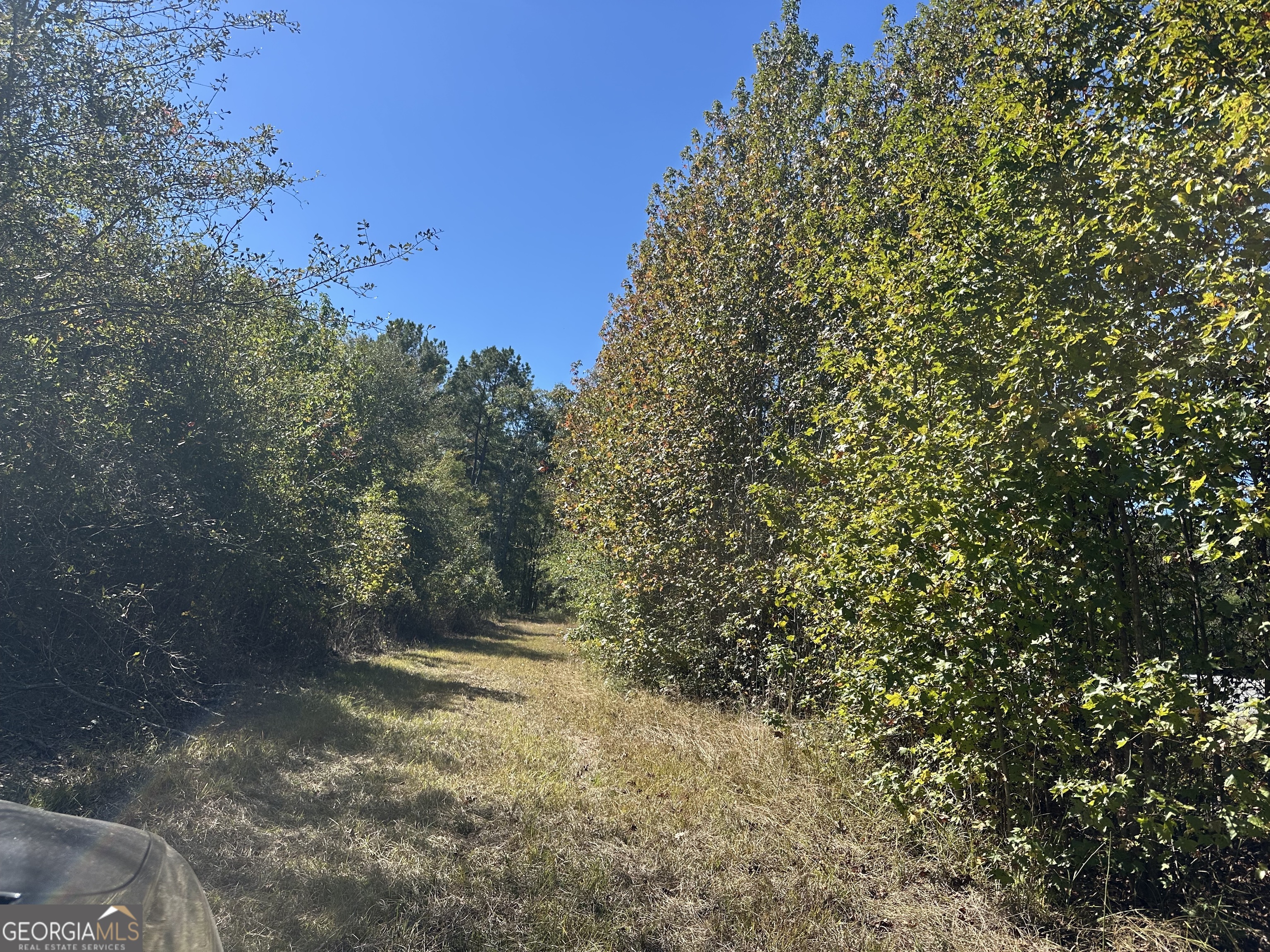 68 Sand Rdg Road Rhine, GA 31077 - Photo 50 of 53