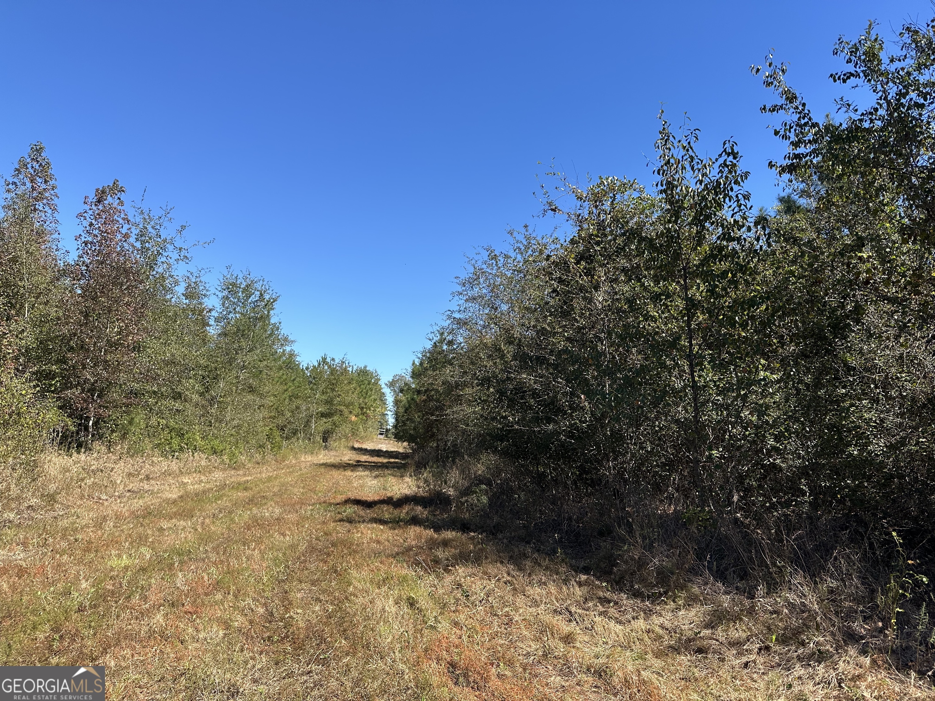 68 Sand Rdg Road Rhine, GA 31077 - Photo 5 of 53