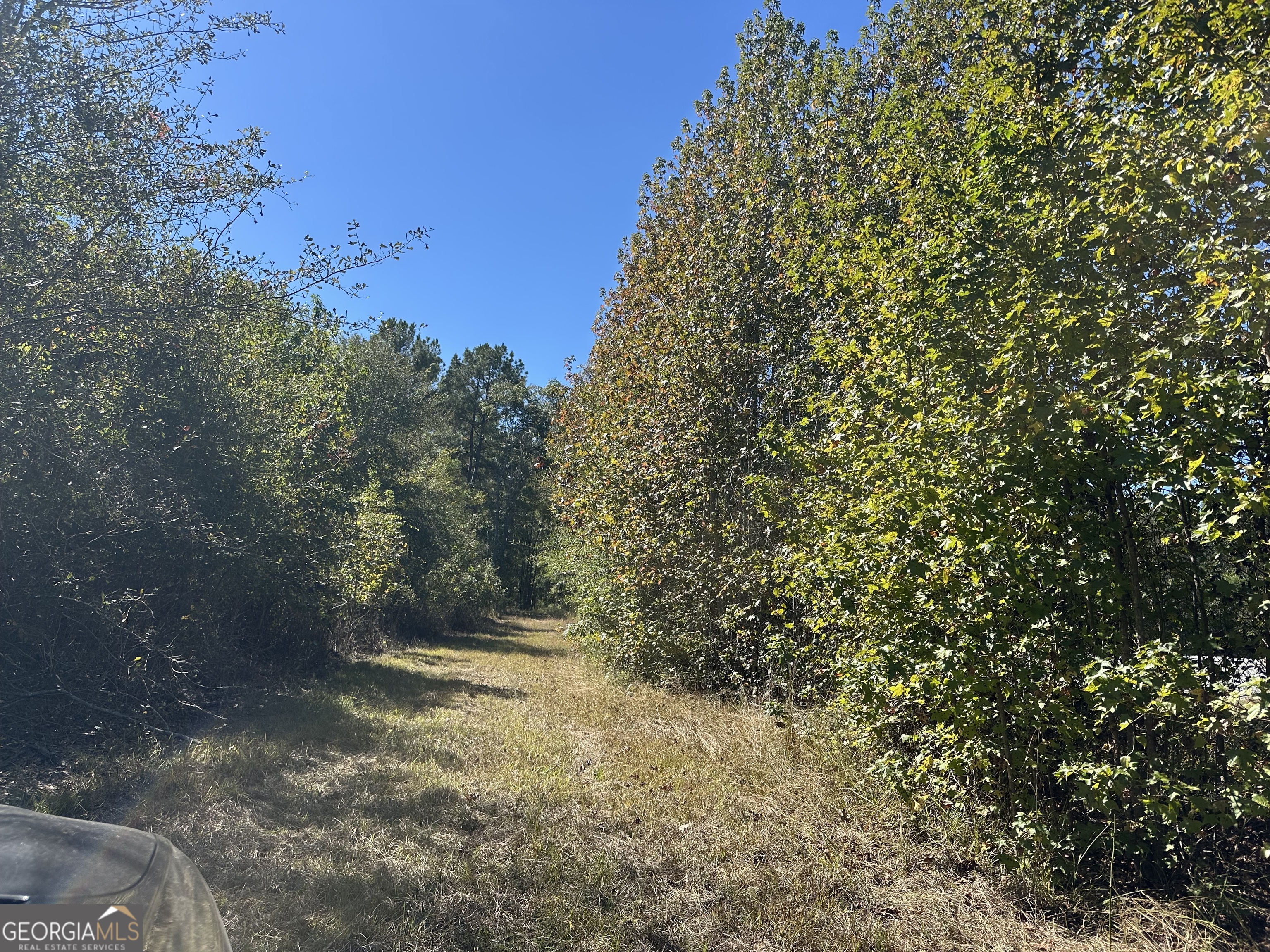 68 Sand Rdg Road Rhine, GA 31077 - Photo 51 of 53