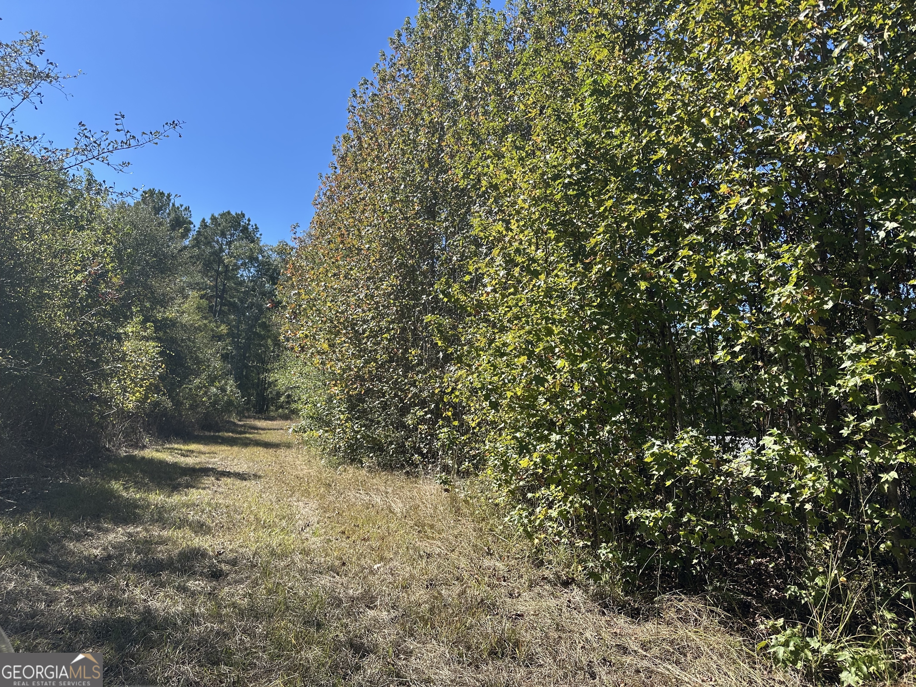 68 Sand Rdg Road Rhine, GA 31077 - Photo 52 of 53