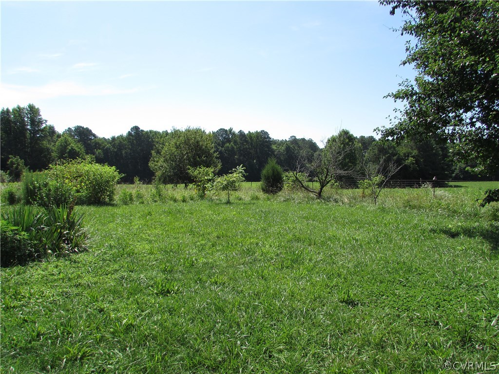 6422 White Oak Road Wilsons, VA 23894 - Photo 4 of 6 a view of a green field with lots of bushes