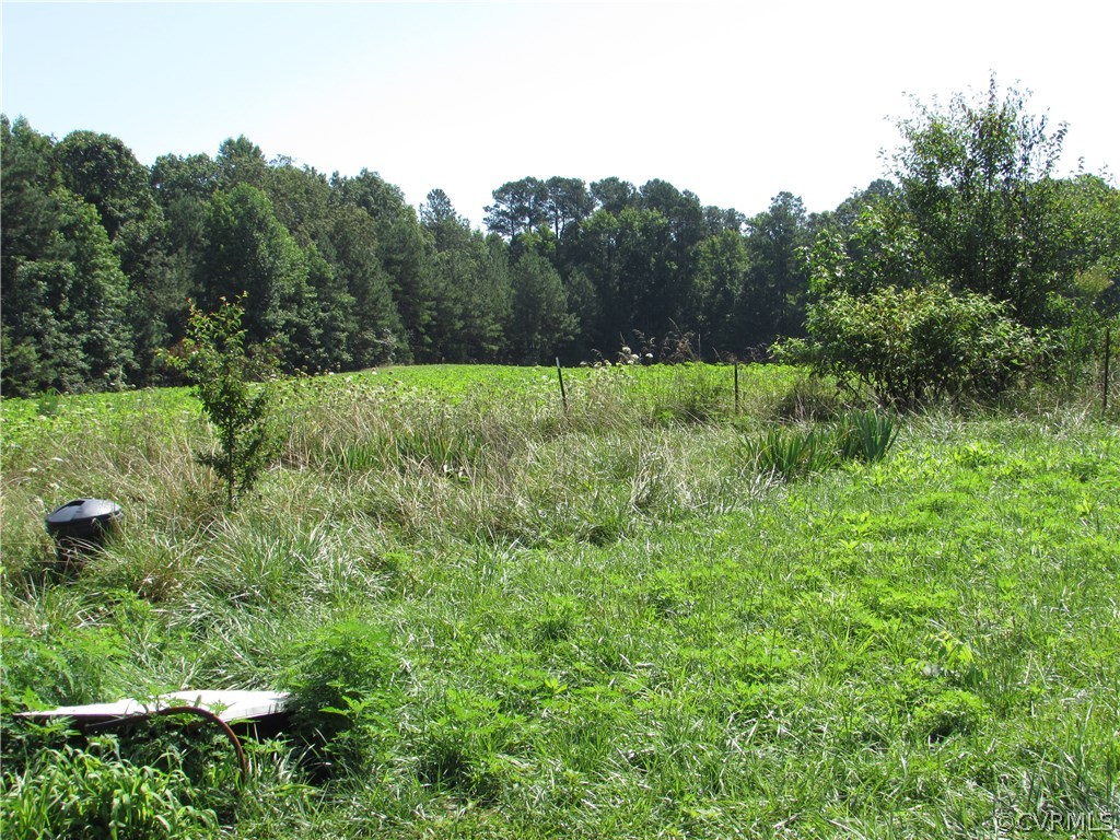 6422 White Oak Road Wilsons, VA 23894 - Photo 6 of 6 a view of a lush green space