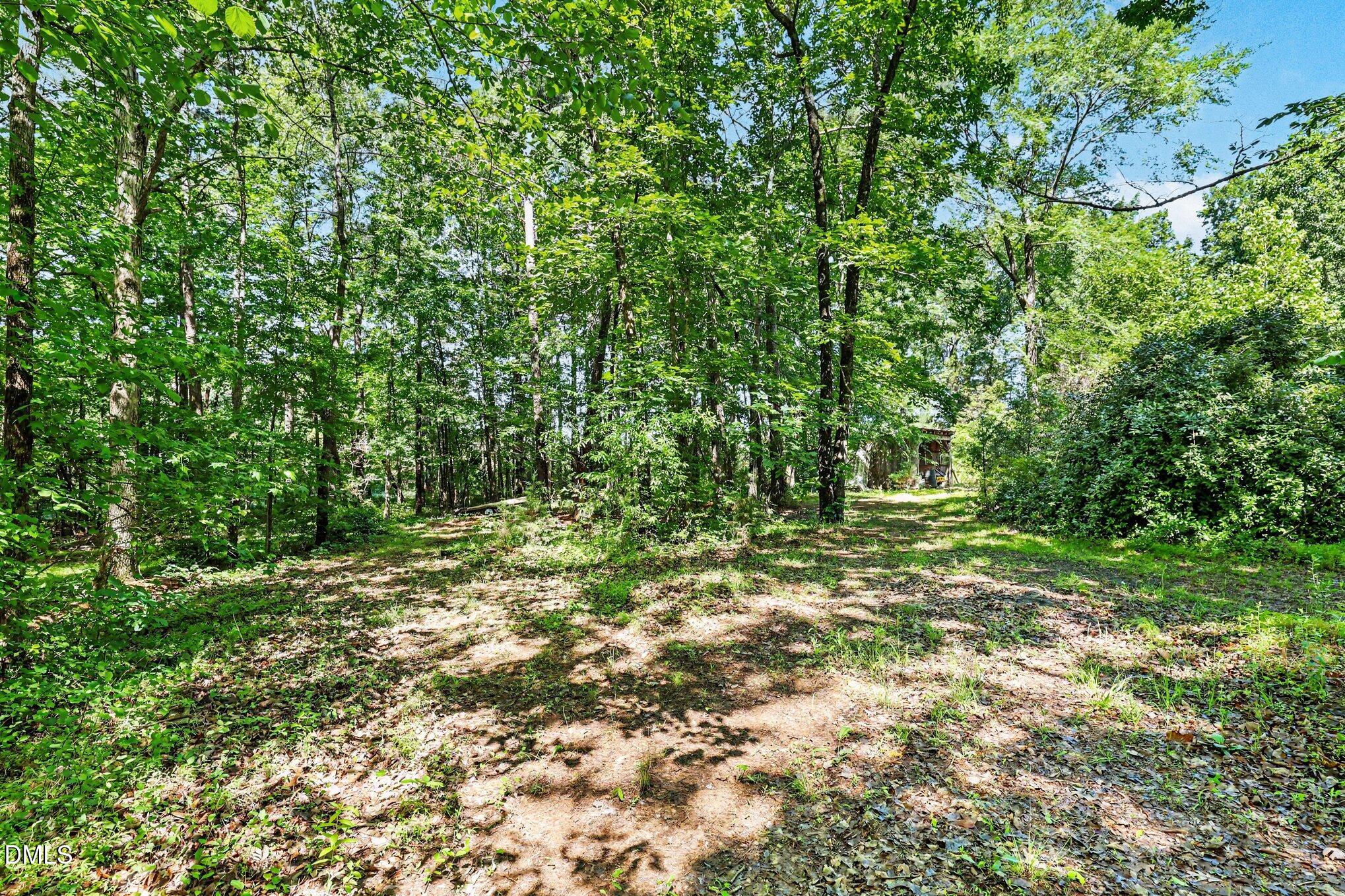 820 Reno Sharpe Store Road Bear Creek, NC 27207 - Photo 28 of 34