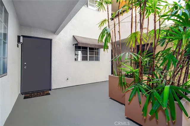 a view of a garden with a bench