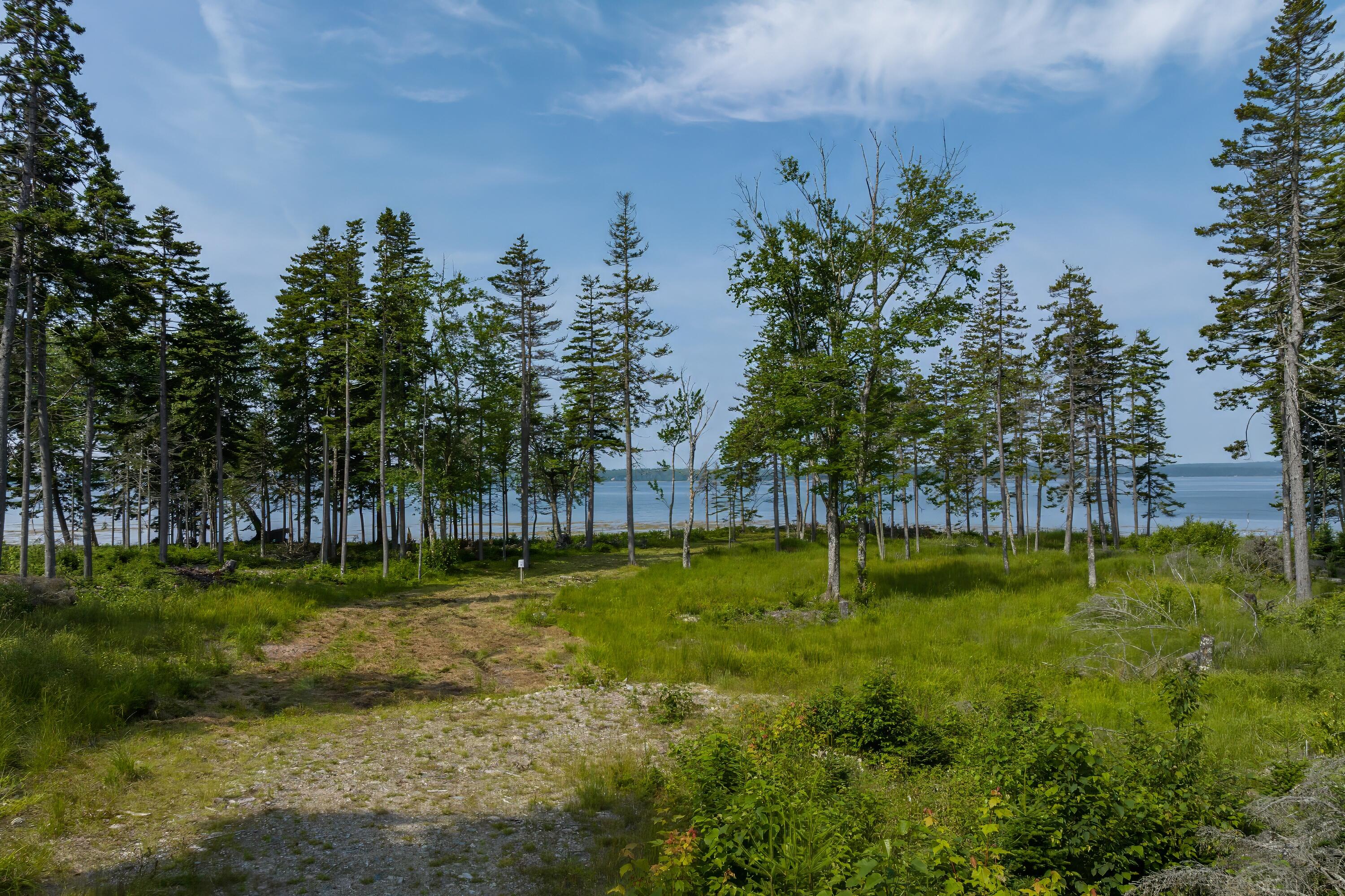 102 Estates Road, Unit LOT #3 Steuben, ME 04680 - Photo 15 of 21 Lot 3 (10)