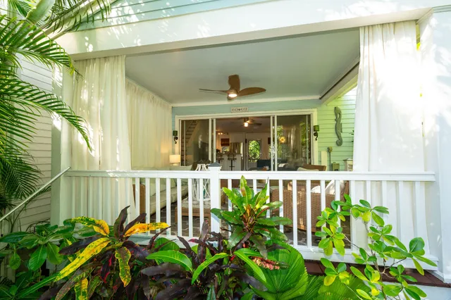 a view of a garden with plants