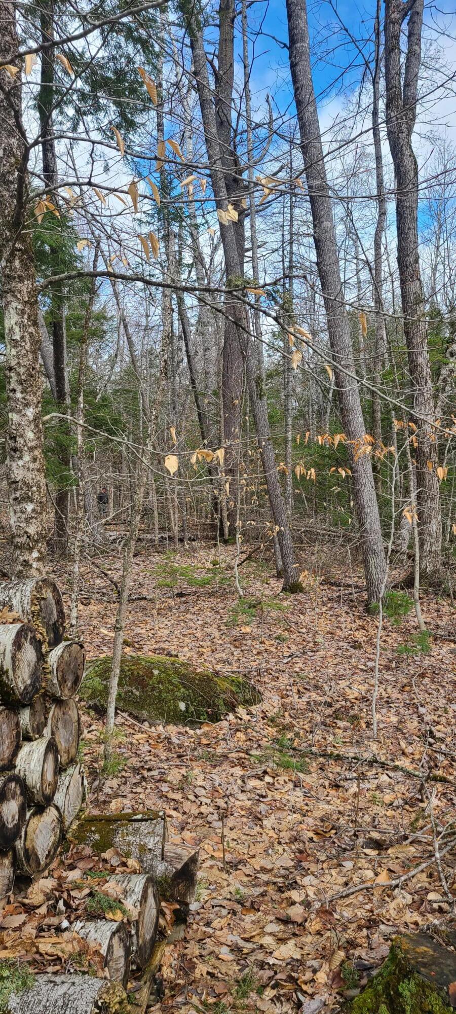 279 Etna Pond Road Carmel, ME 04419 - Photo 11 of 12 20220420_094908