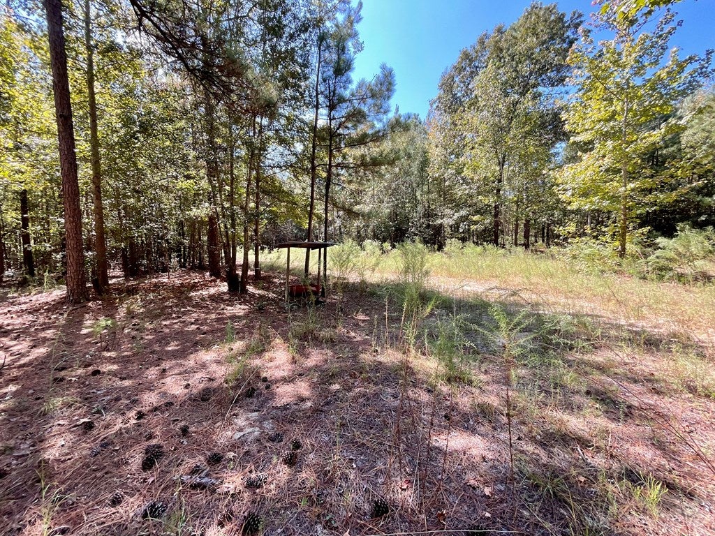 88 Wheeler Rogers Road Rupert, GA 31081 - Photo 23 of 73 Gallery Image 23