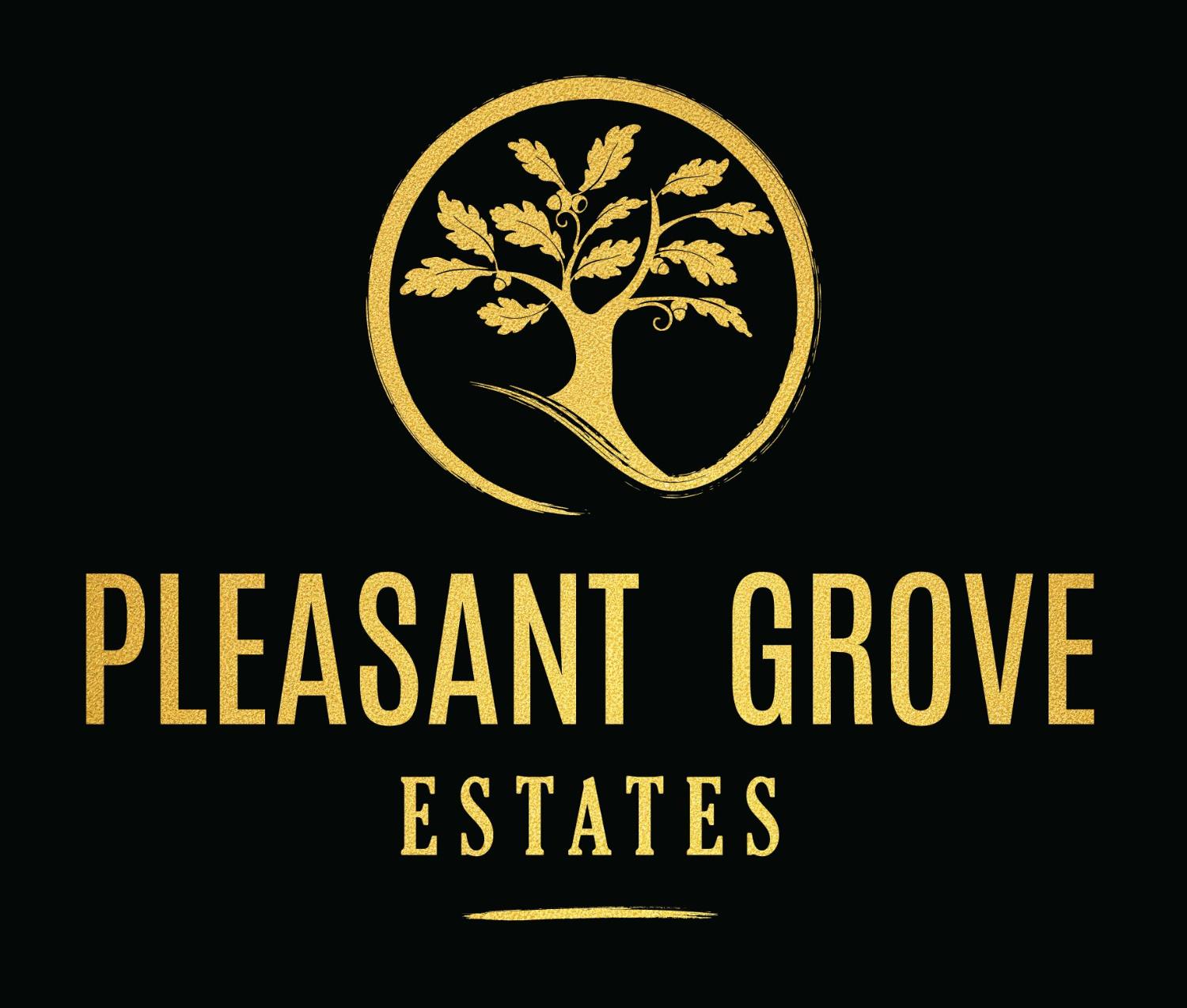 10150 Pleasant Grove School Road Elk Grove, CA 95624 - Photo 1 of 12