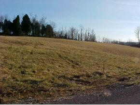Lot36 Good Road Jonesborough, TN 37659 - Photo 2 of 4 Photo 2