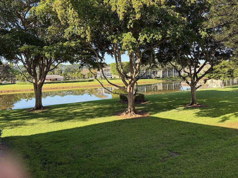 VIEW FROM FRONT DOOR