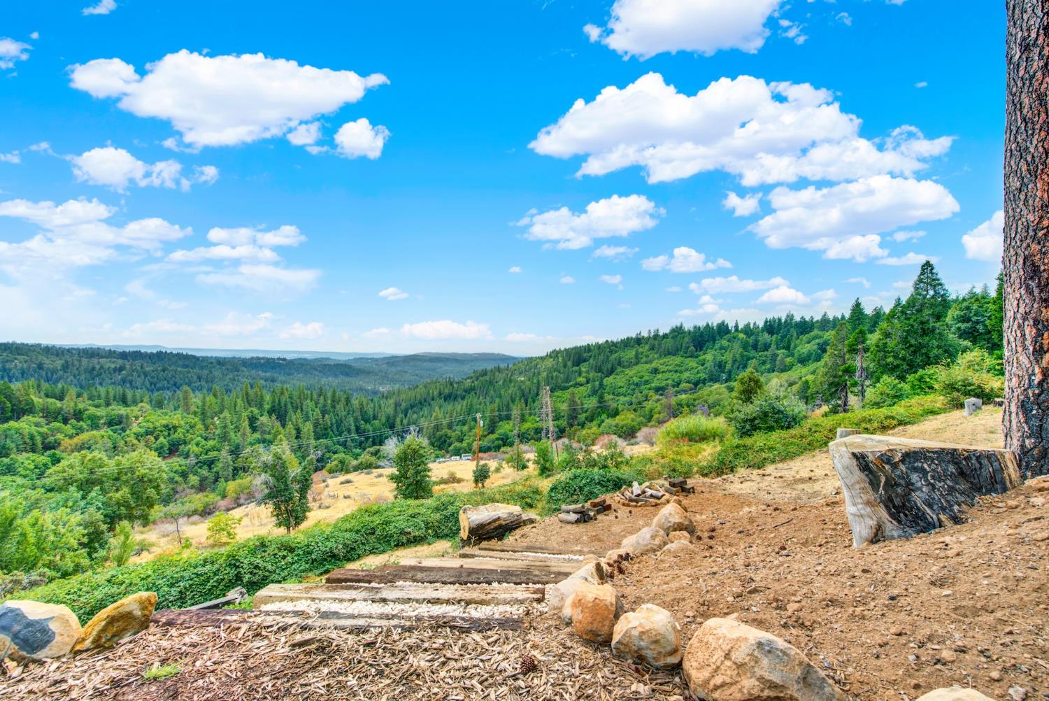 4560 8 Mile Road Camino, CA 95709 - Photo 15 of 94