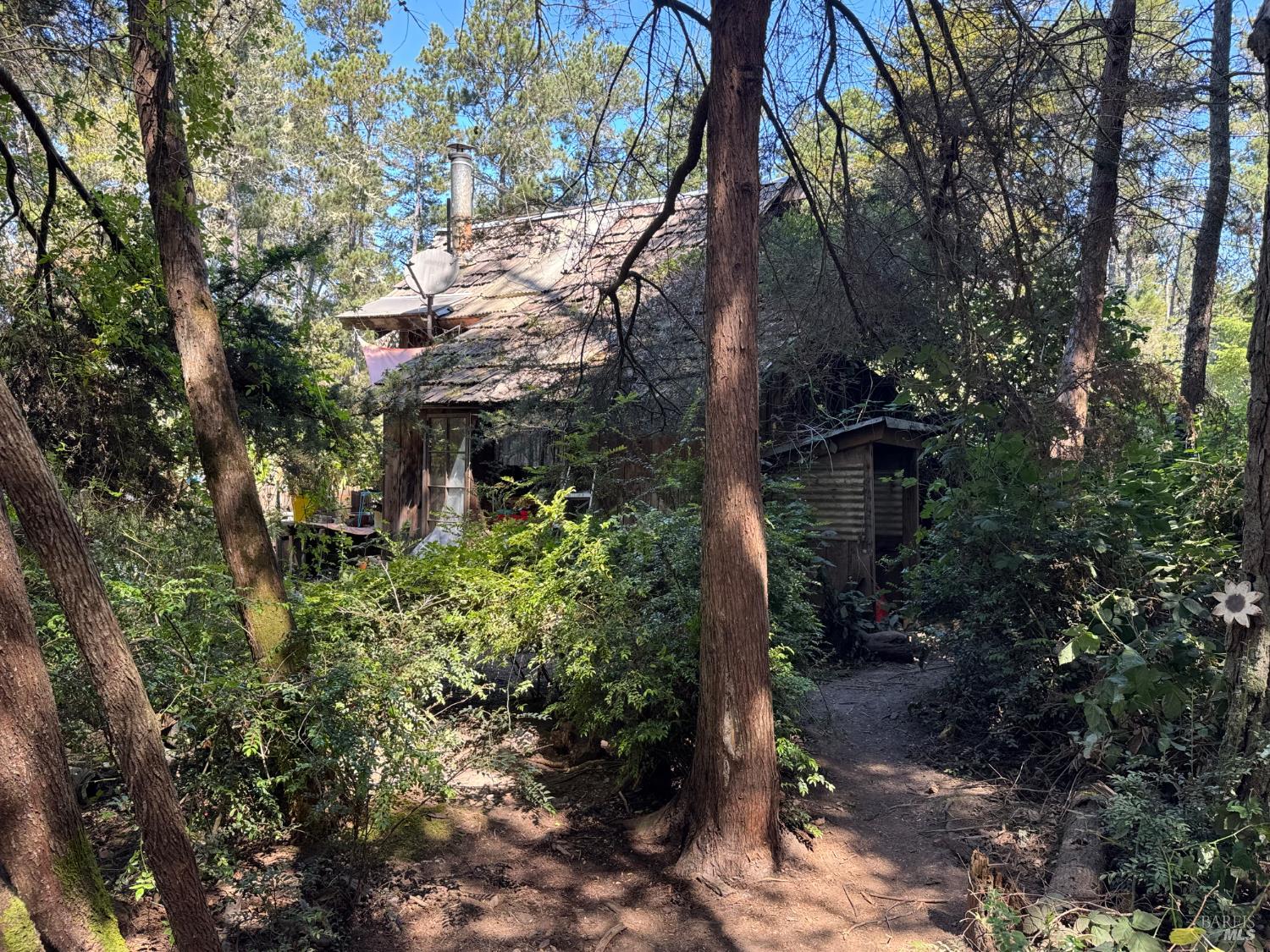 28270 Albion Ridge Road Albion, CA 95410 - Photo 20 of 22 a backyard of a house with lots of green space