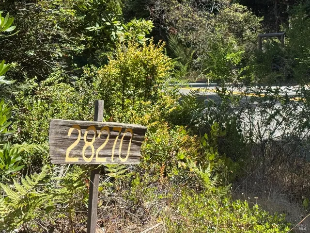 a view of a sign of a tree