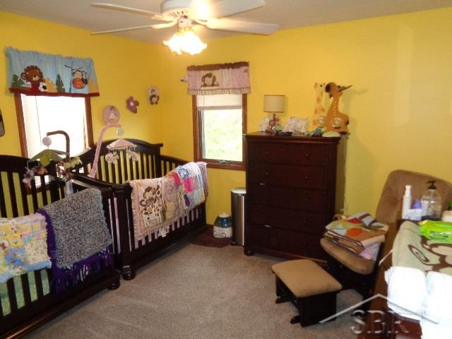 17411 Geddes Road Hemlock, MI 48626 - Photo 11 of 29 Bedroom 2