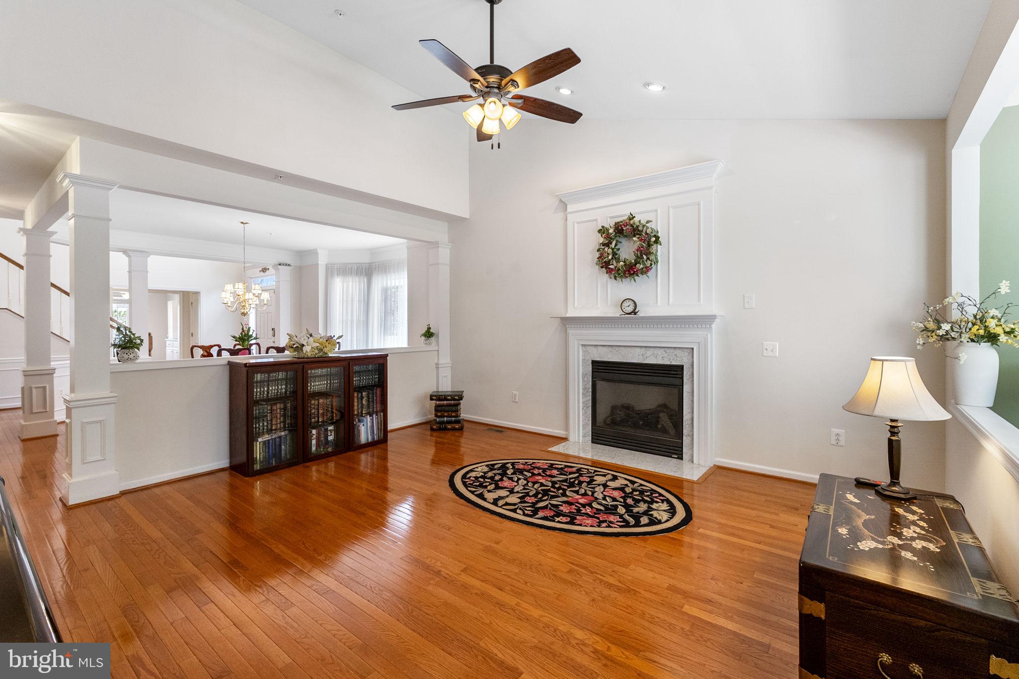 8245 Academy Road, Unit 42 Ellicott City, MD 21043 - Photo 11 of 48 Main level living room with Fireplace