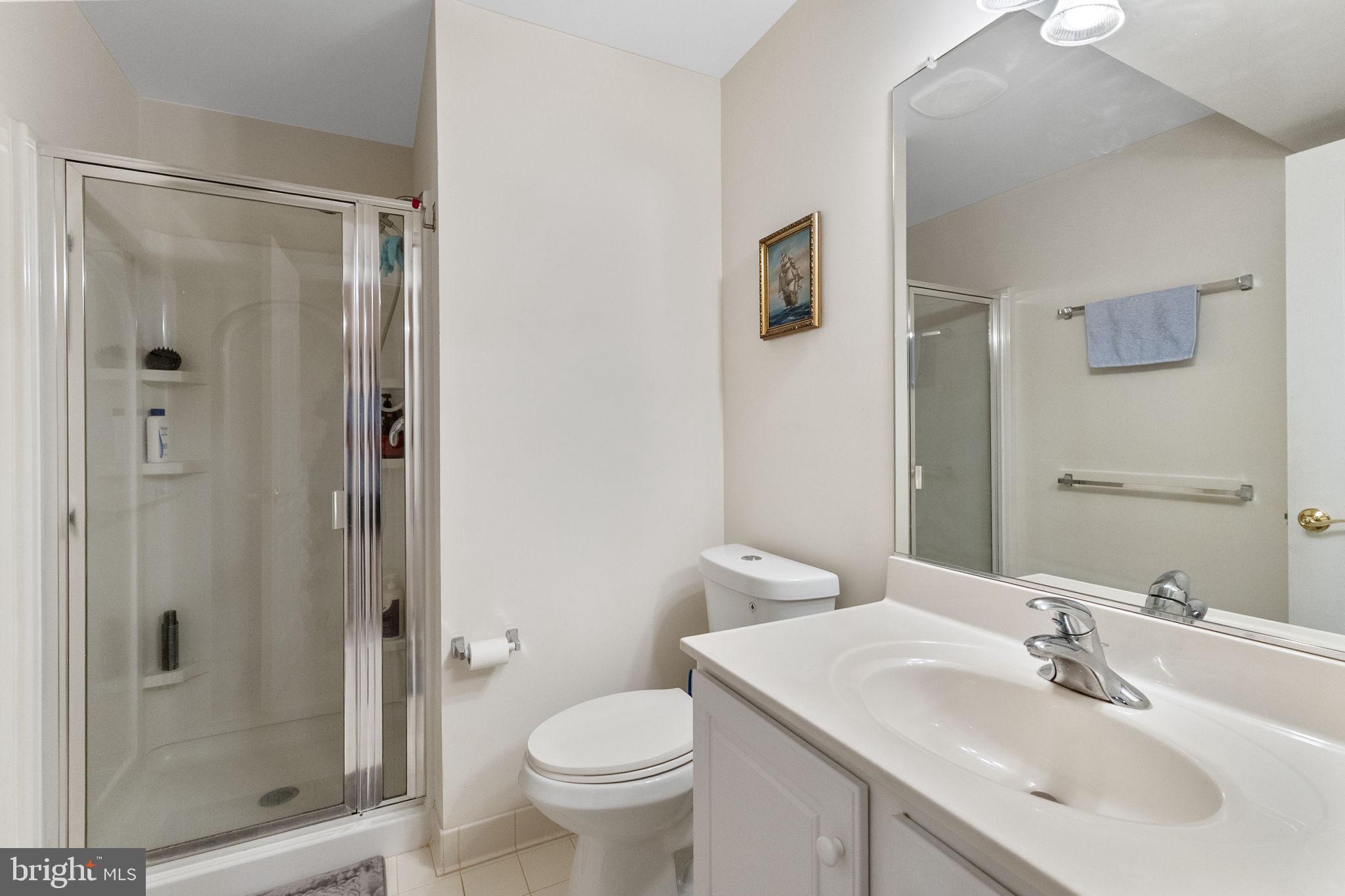 8245 Academy Road, Unit 42 Ellicott City, MD 21043 - Photo 39 of 48 Lower level Full Bath