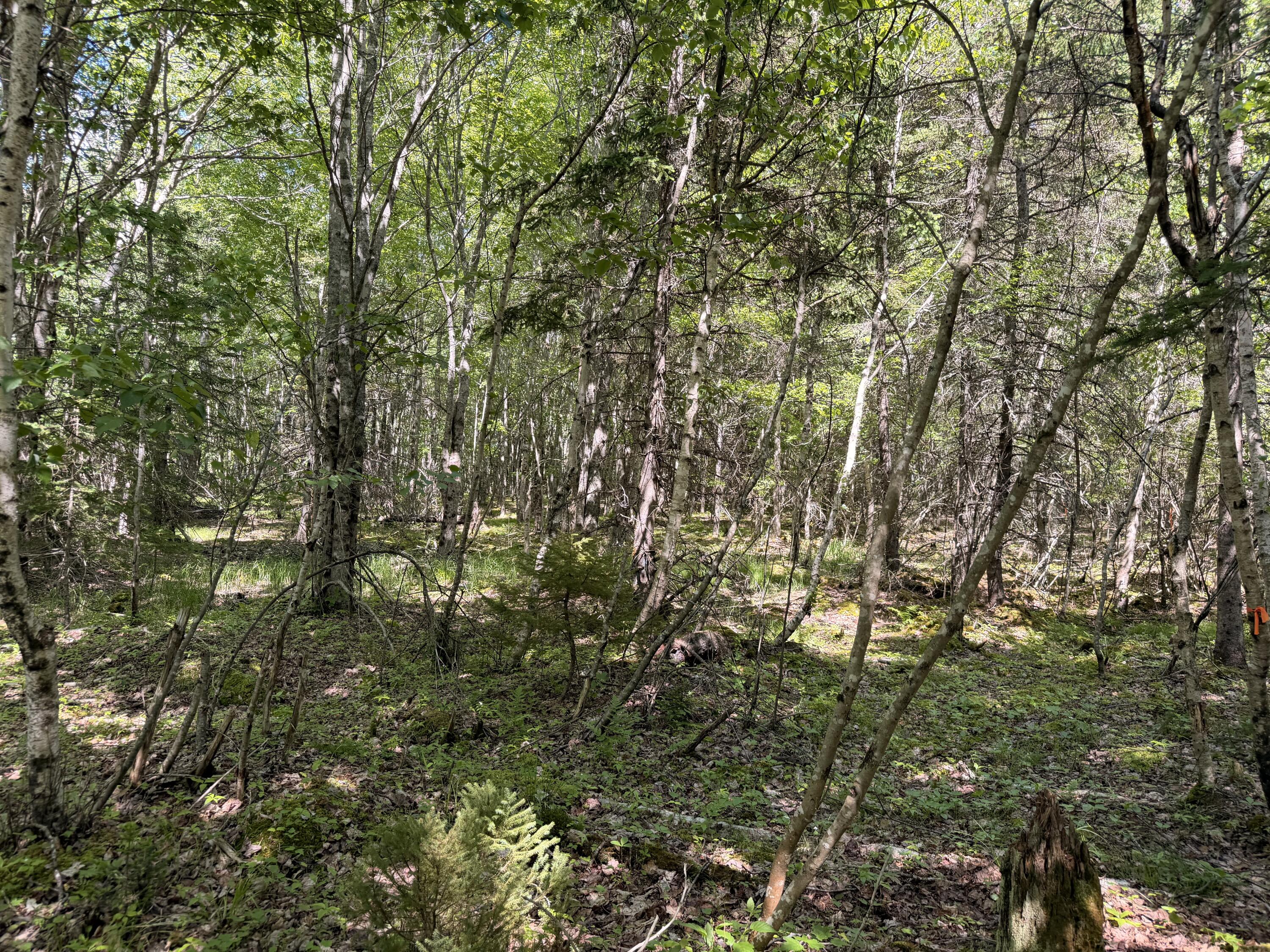 M5-l42 Hooke Road Harrington, ME 04643 - Photo 21 of 33