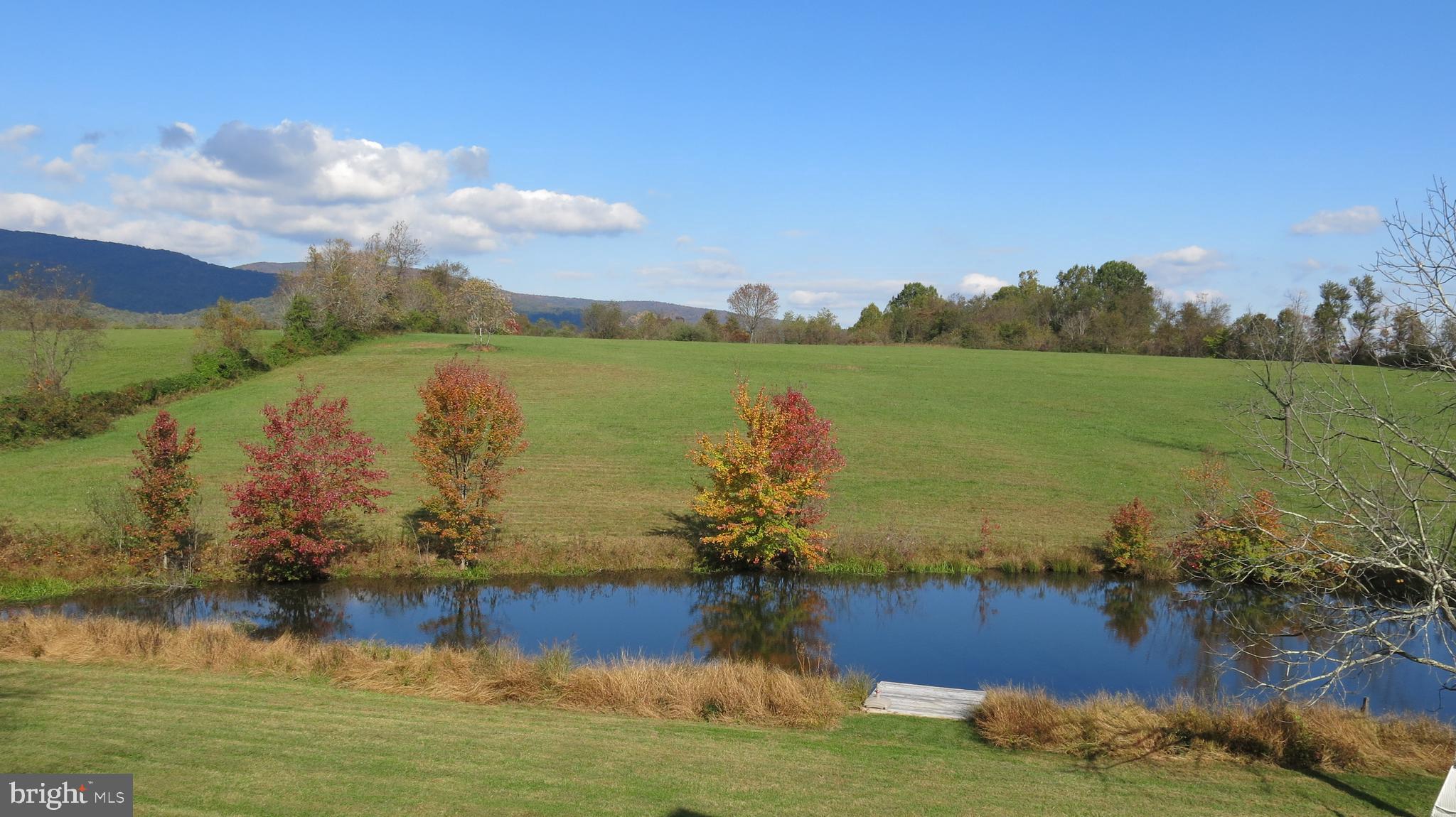761 Fodderstack Road Huntly, VA 22640 - Photo 11 of 41 view of property from side yard