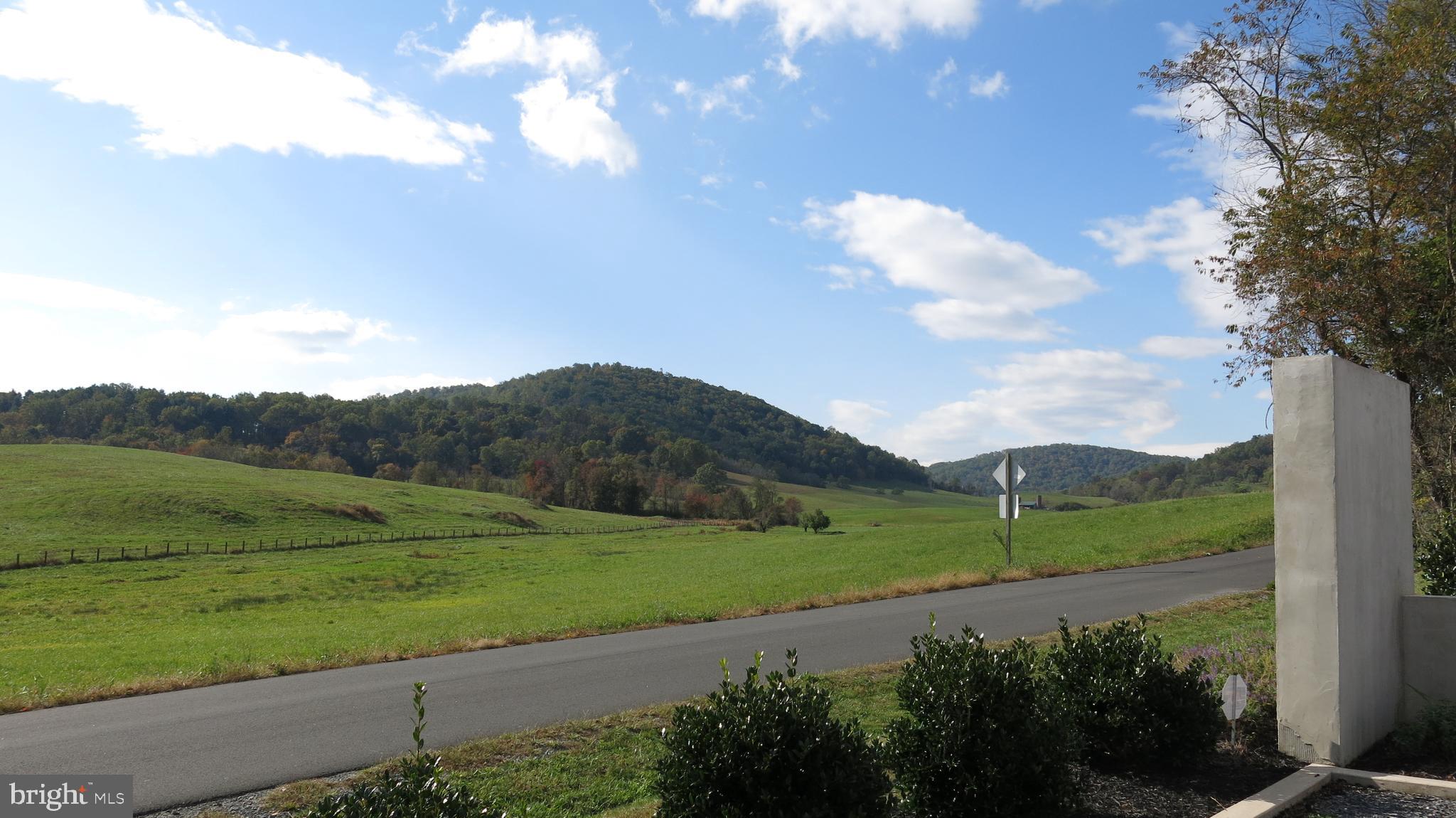 761 Fodderstack Road Huntly, VA 22640 - Photo 18 of 41 frontage on quiet country road