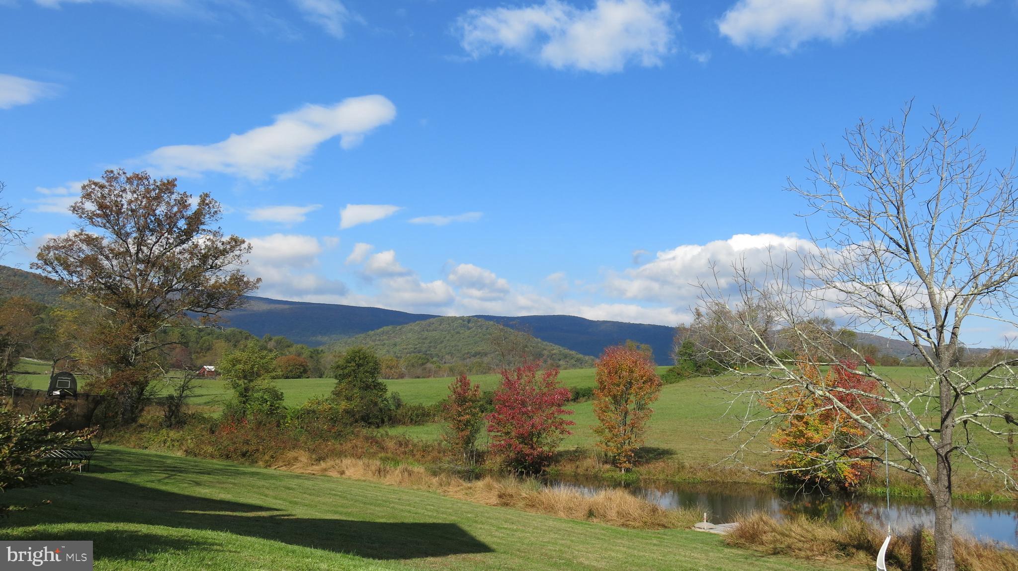 761 Fodderstack Road Huntly, VA 22640 - Photo 3 of 41 View from house