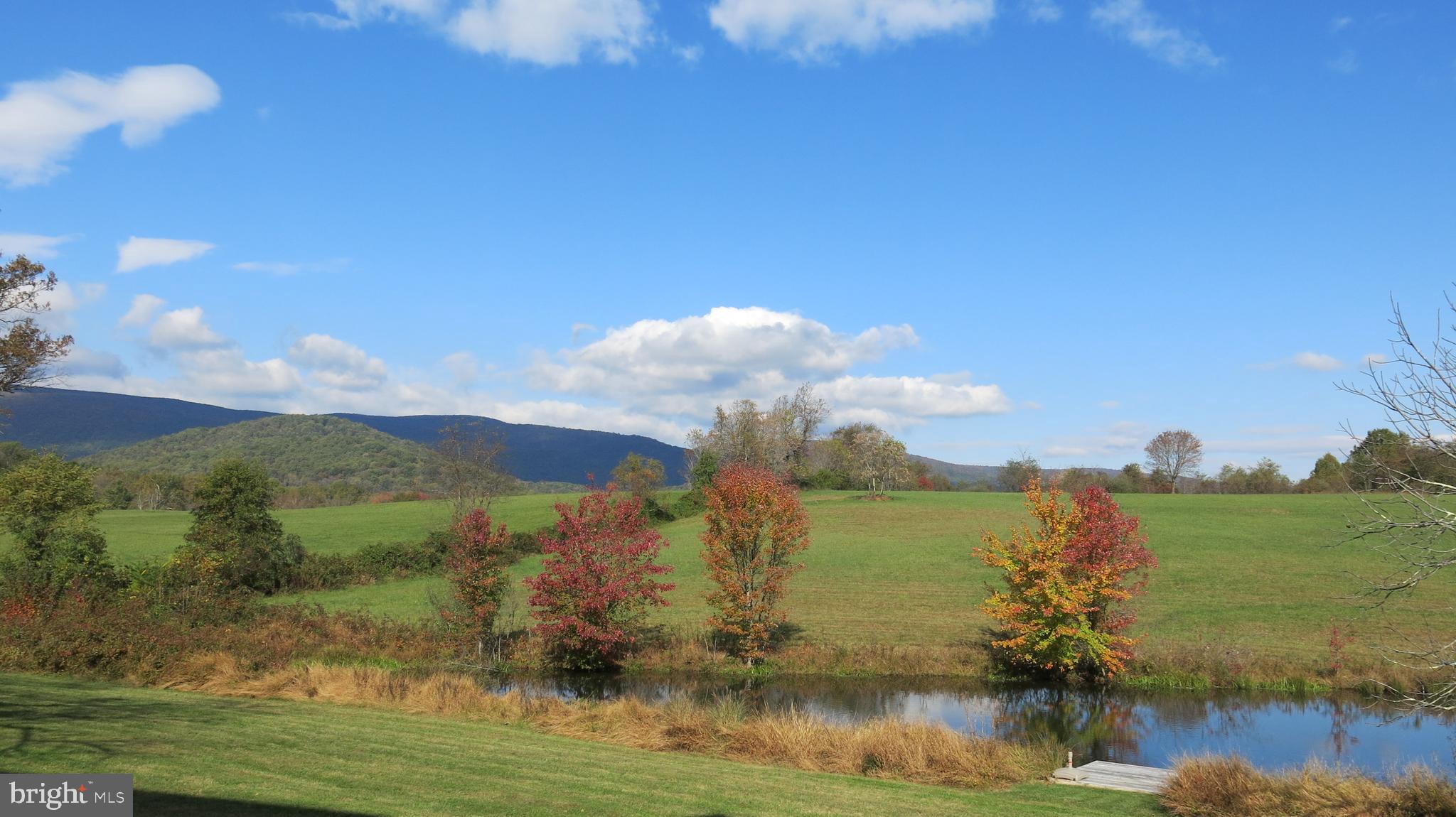 761 Fodderstack Road Huntly, VA 22640 - Photo 4 of 41 View from house