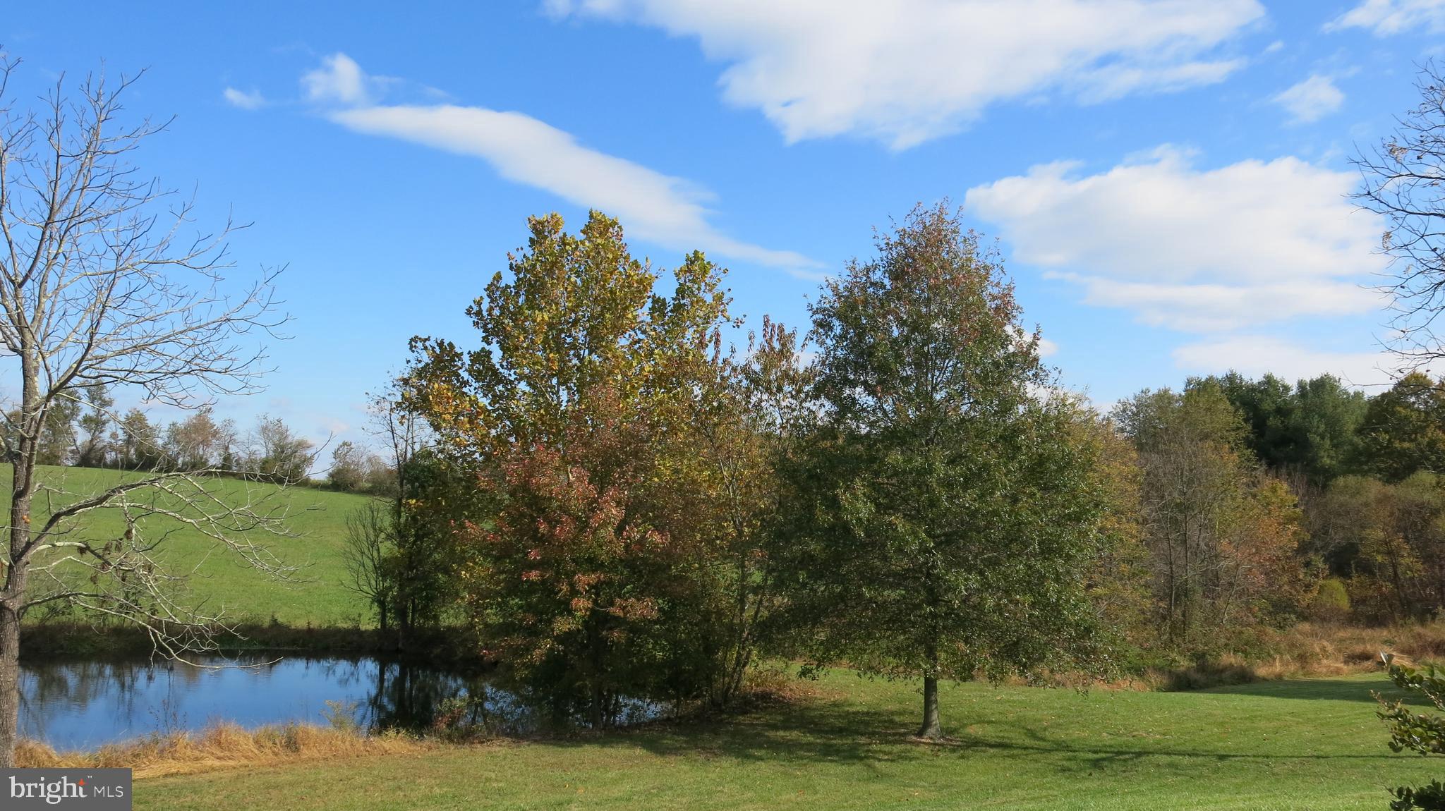 761 Fodderstack Road Huntly, VA 22640 - Photo 5 of 41 View from house