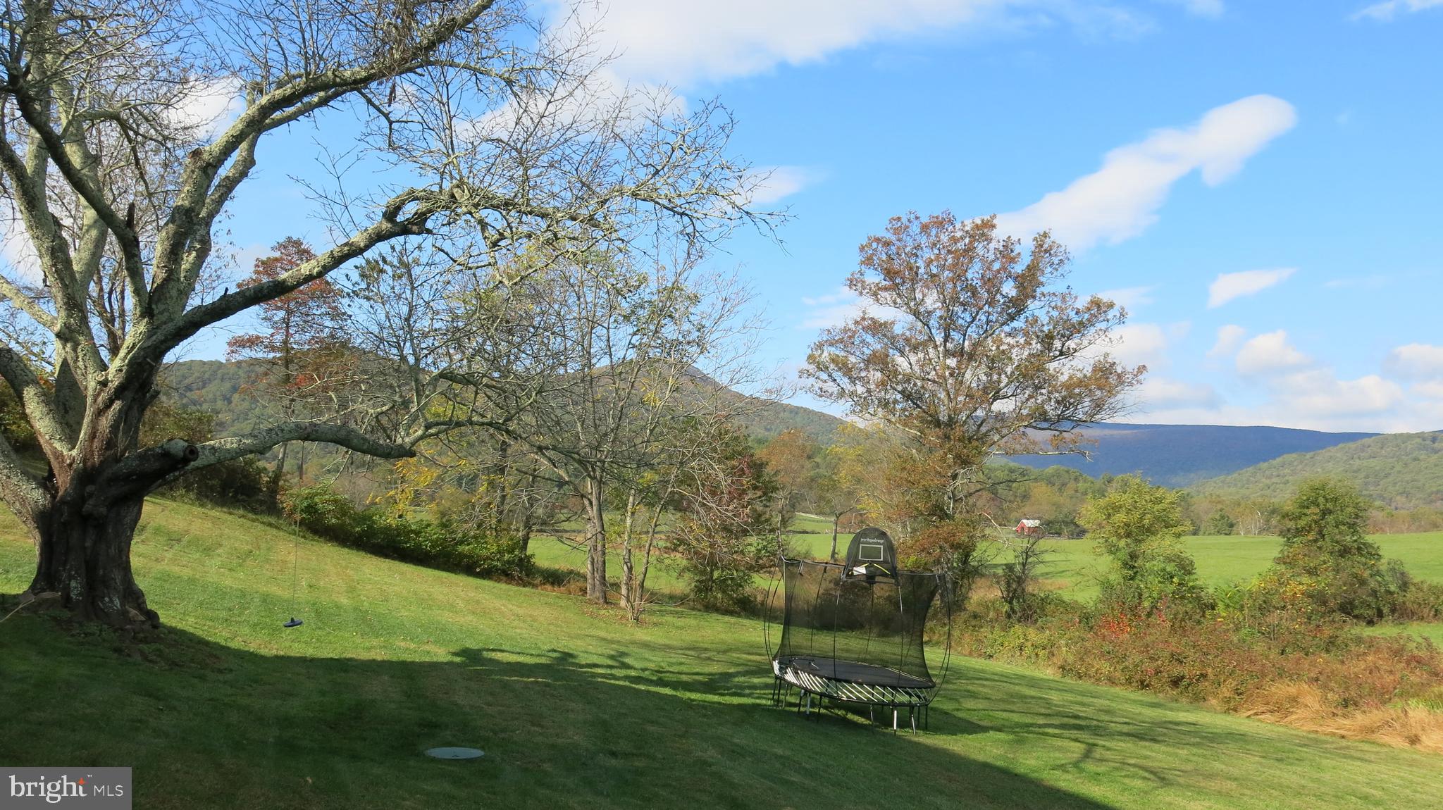 761 Fodderstack Road Huntly, VA 22640 - Photo 6 of 41 View from house