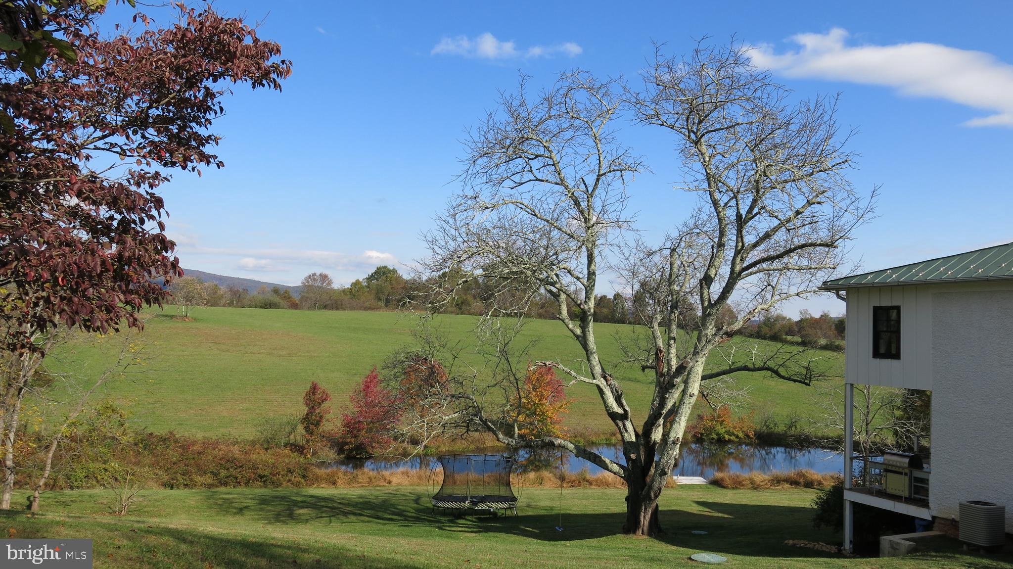 761 Fodderstack Road Huntly, VA 22640 - Photo 10 of 41 View of property from side yard