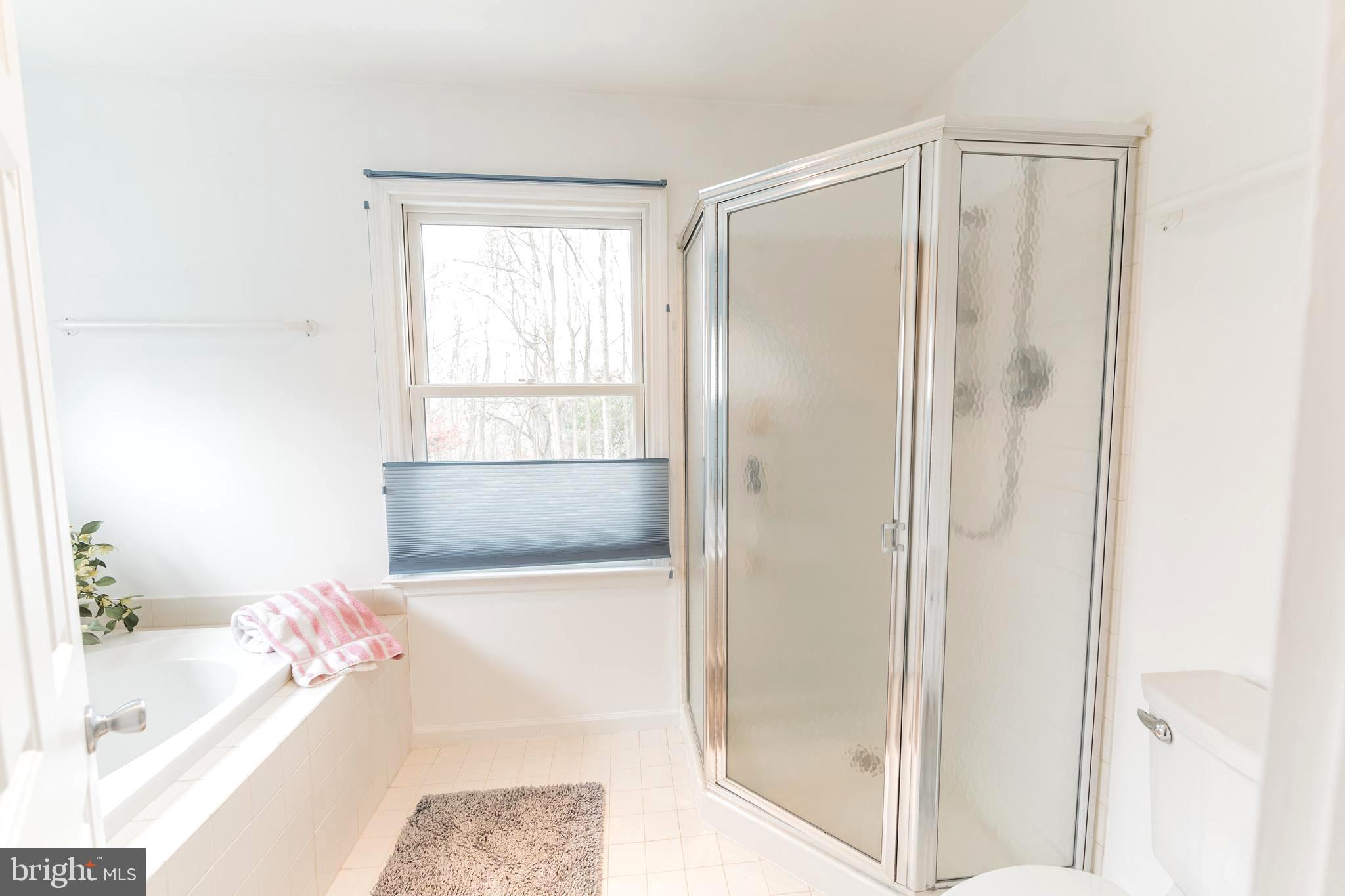 122 Stoney Ridge Road Landenberg, PA 19350 - Photo 16 of 29 Main bathroom