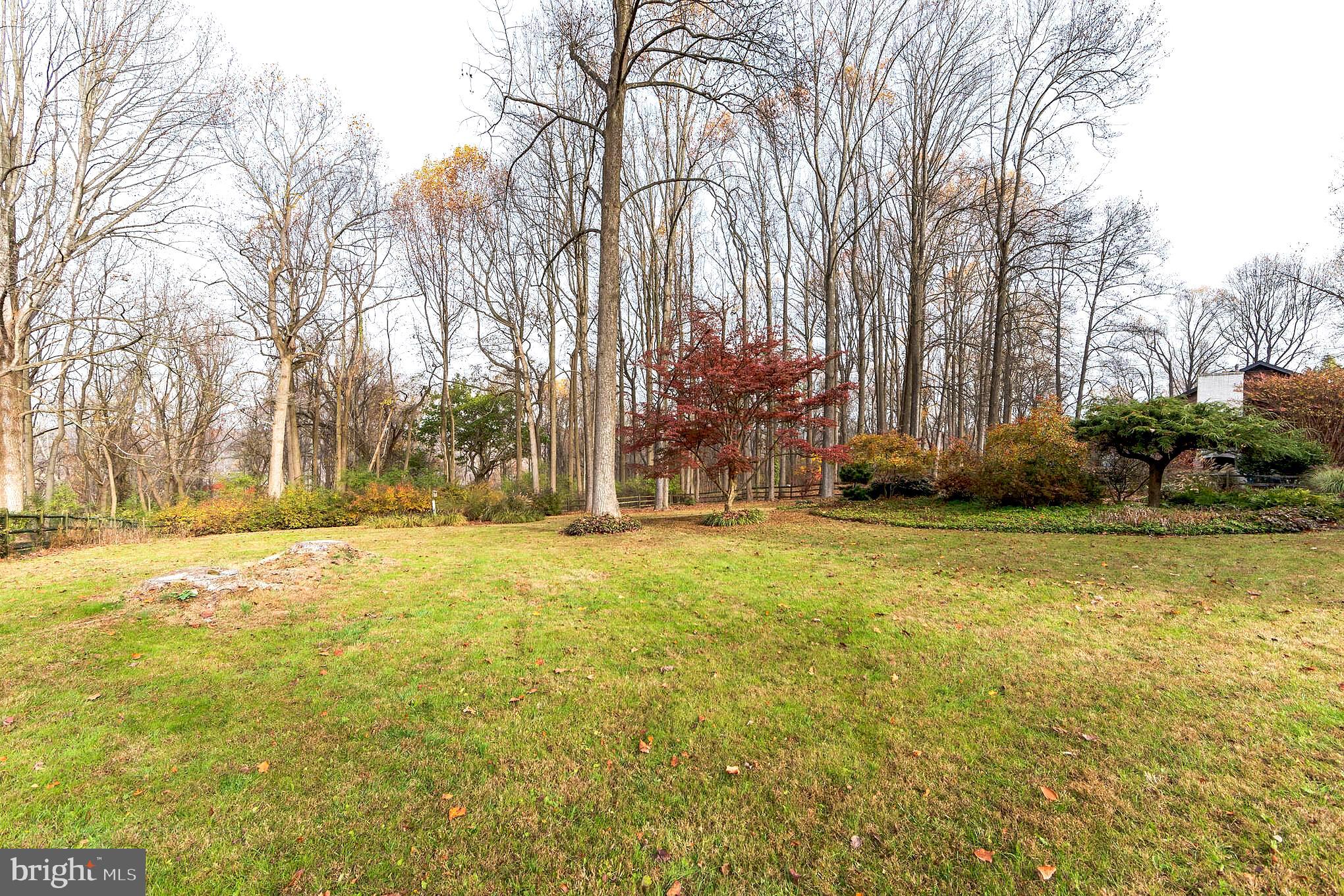 122 Stoney Ridge Road Landenberg, PA 19350 - Photo 23 of 29 Back yard