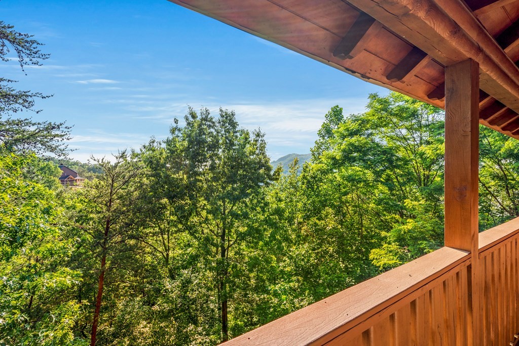 3256 Grouse Ridge Lane Sevierville, TN 37862 - Photo 11 of 63 Gallery Image 11