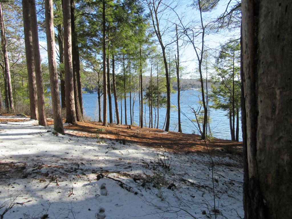 232 Pine Point Road New Durham, NH 03855 - Photo 21 of 25