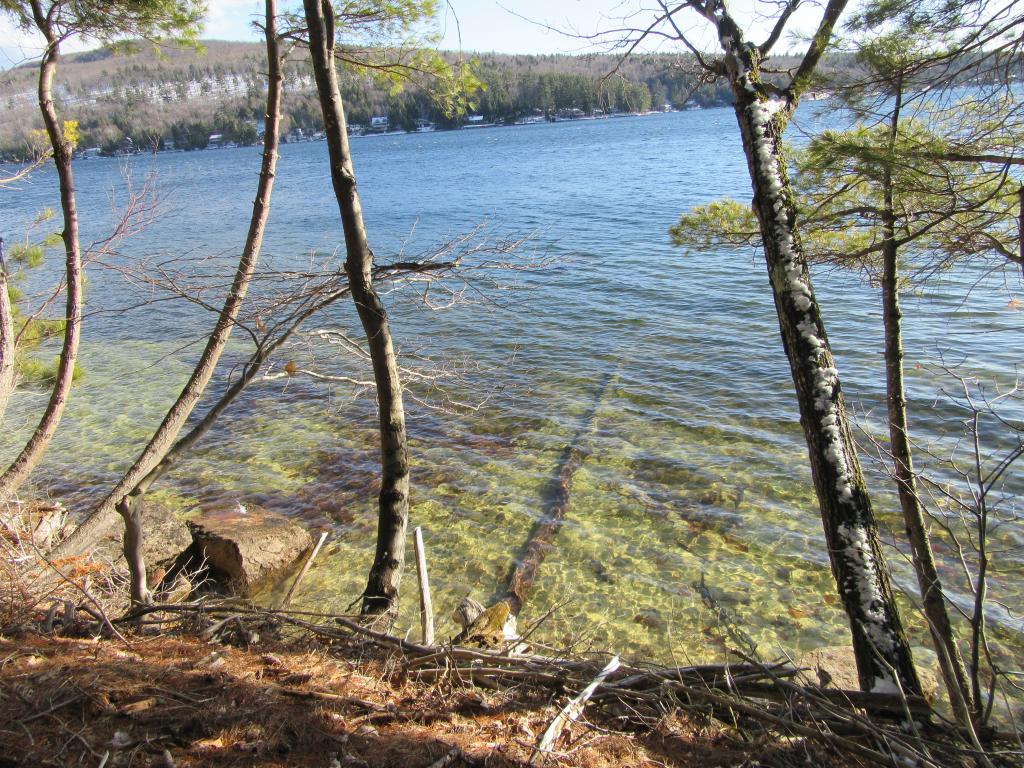 232 Pine Point Road New Durham, NH 03855 - Photo 22 of 25