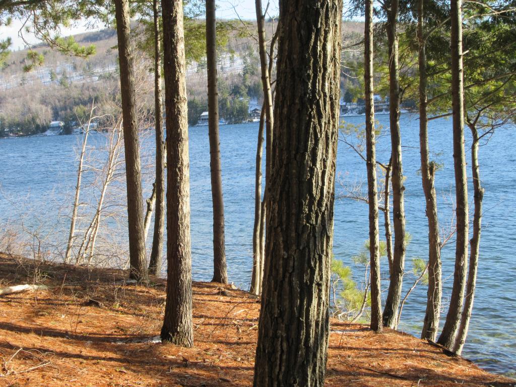 232 Pine Point Road New Durham, NH 03855 - Photo 24 of 25