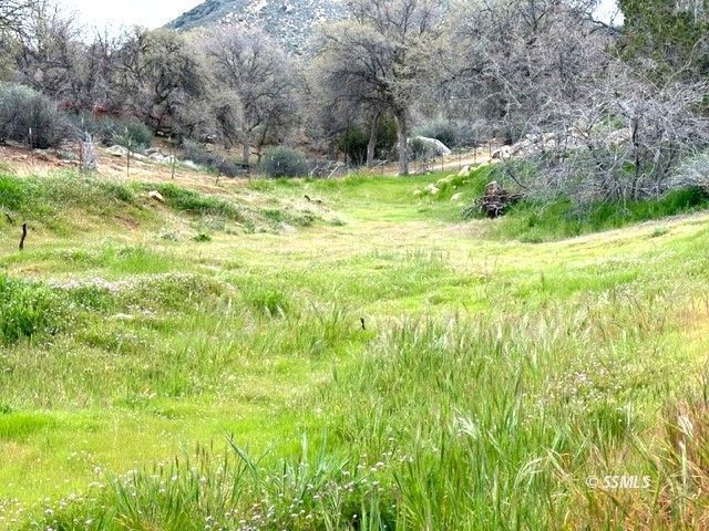 1711 Bodfish Canyon Road Bodfish, CA 93205 - Photo 8 of 15