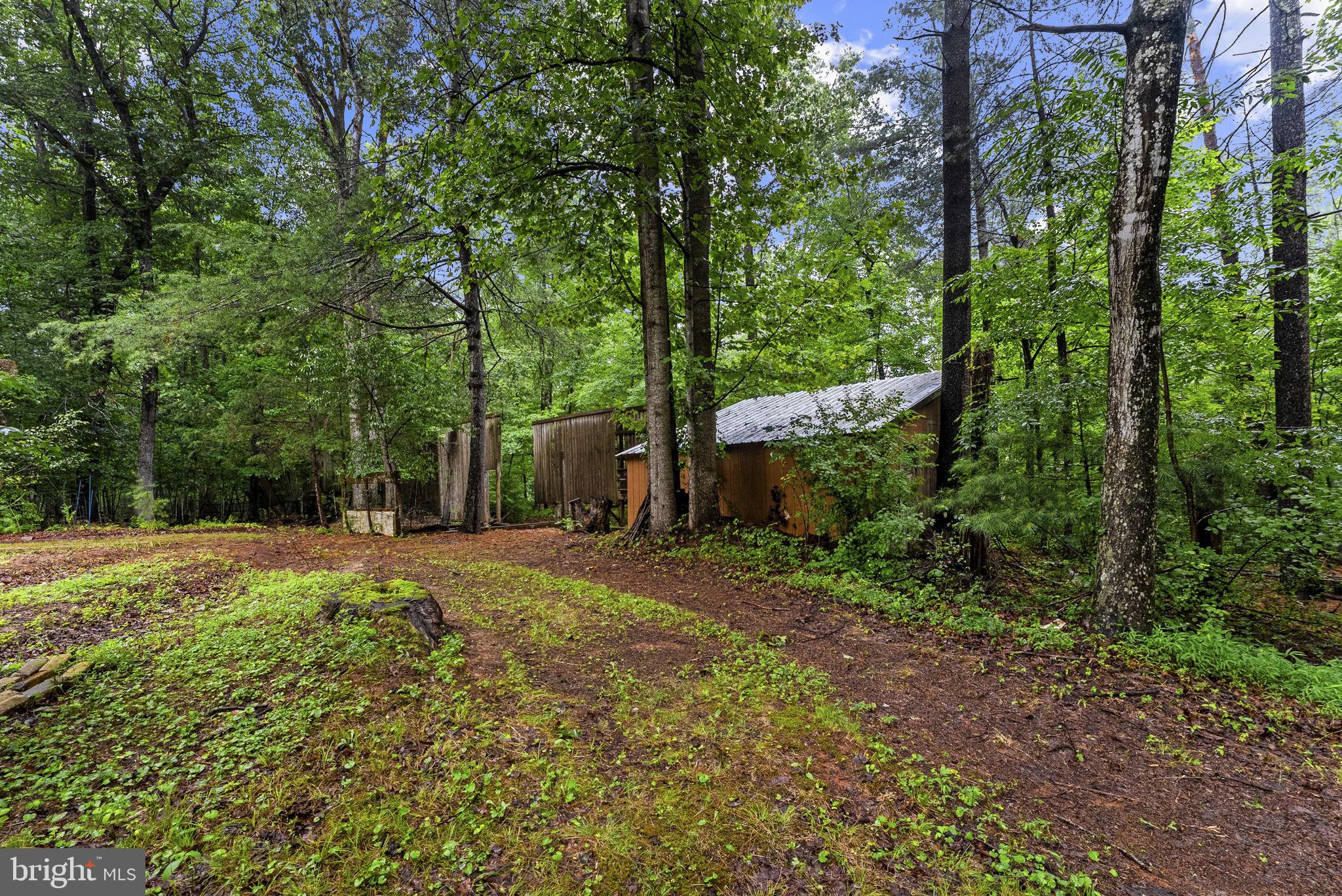 554 Arrington Mountain Road Haywood, VA 22722 - Photo 78 of 80