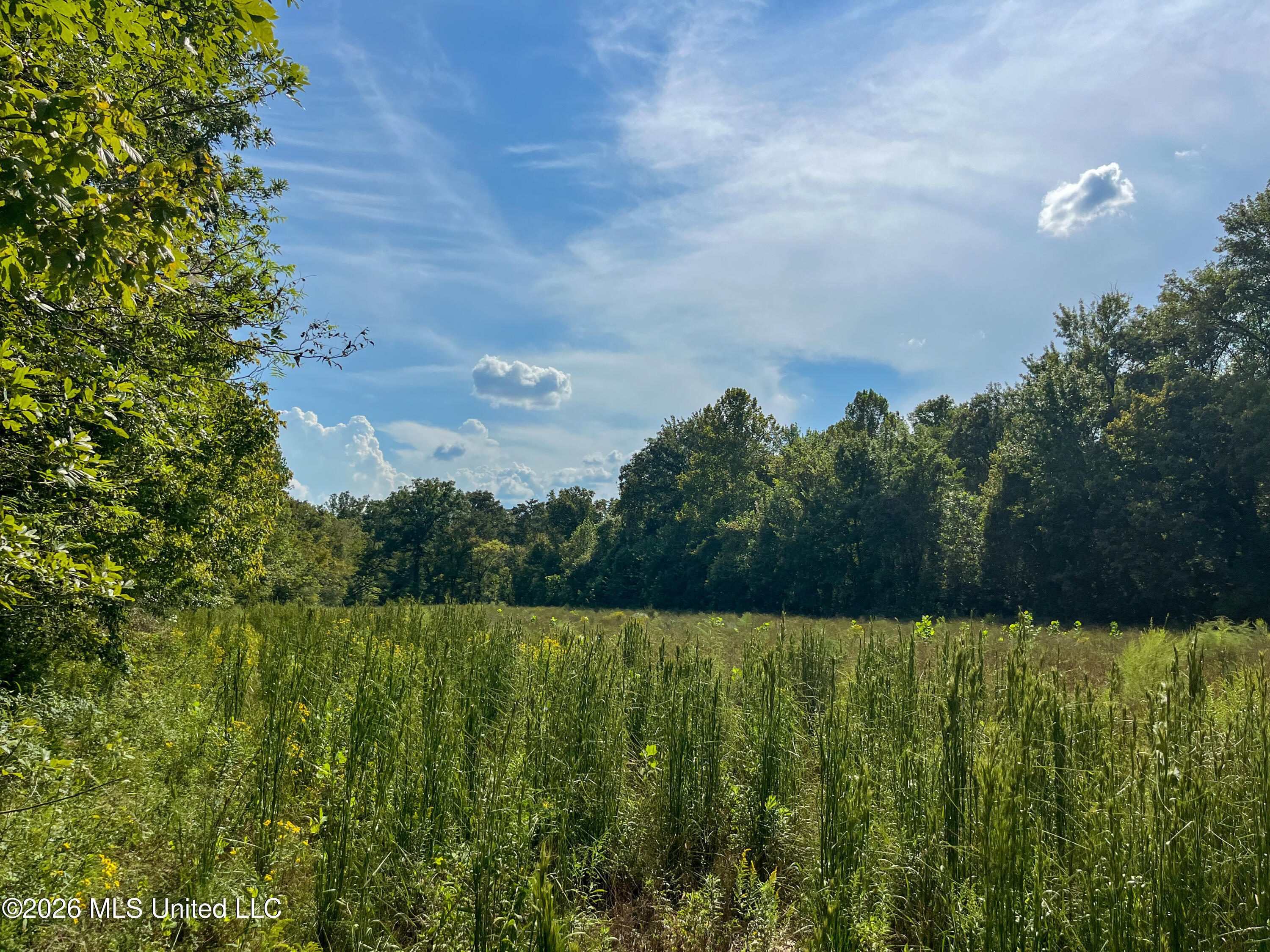 5163 Cox Ferry Road Bentonia, MS 39040 - Photo 28 of 78 IMG_4999