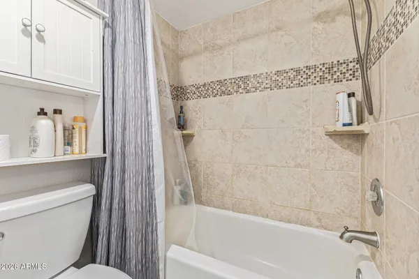 a bathroom with a toilet and a bathtub