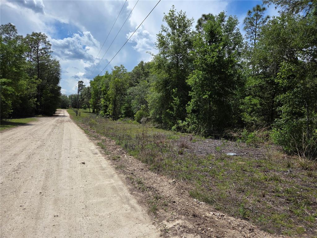 0 Northeast 73rd Lane Bronson, FL 32621 - Photo 1 of 8