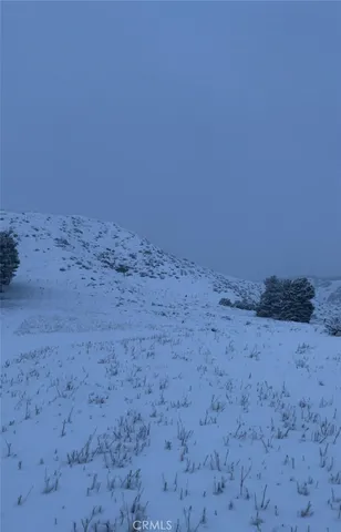 $260,000 | 9197 Northside Drive, Leona Valley, CA 93551