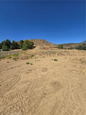 a view of a dry yard with trees